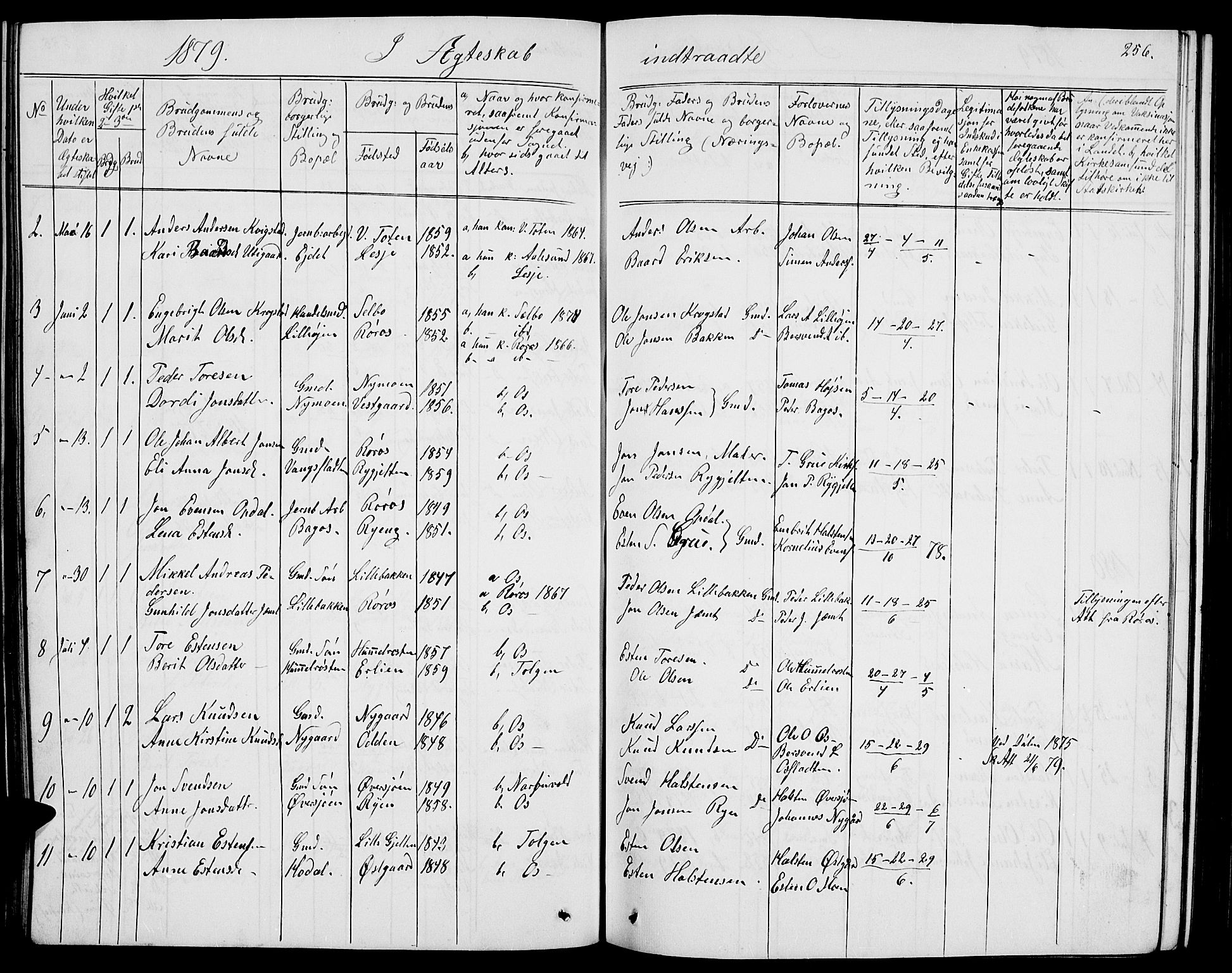 Tolga prestekontor, SAH/PREST-062/L/L0004: Parish register (copy) no. 4, 1845-1887, p. 256