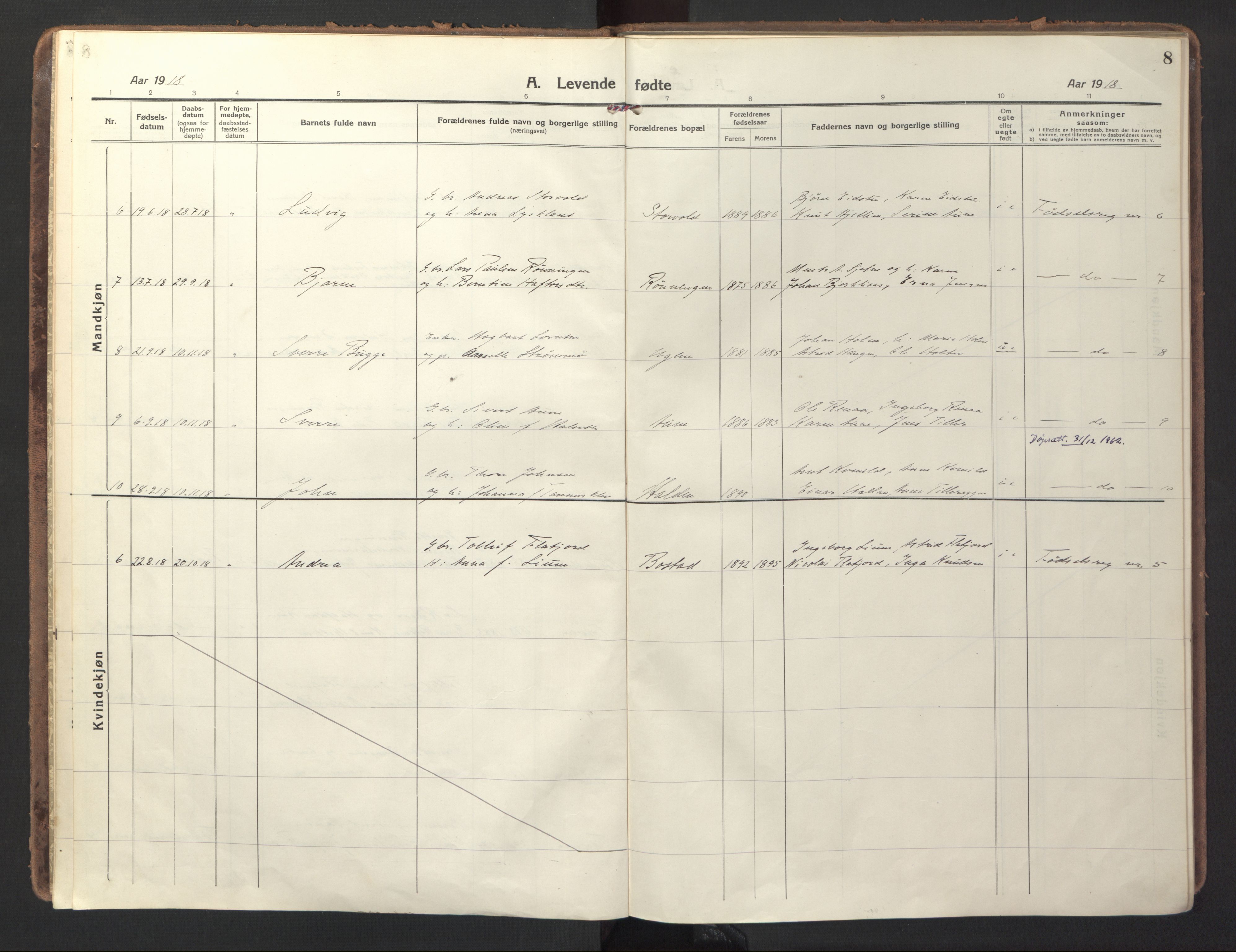 Ministerialprotokoller, klokkerbøker og fødselsregistre - Sør-Trøndelag, SAT/A-1456/618/L0449: Parish register (official) no. 618A12, 1917-1924, p. 8