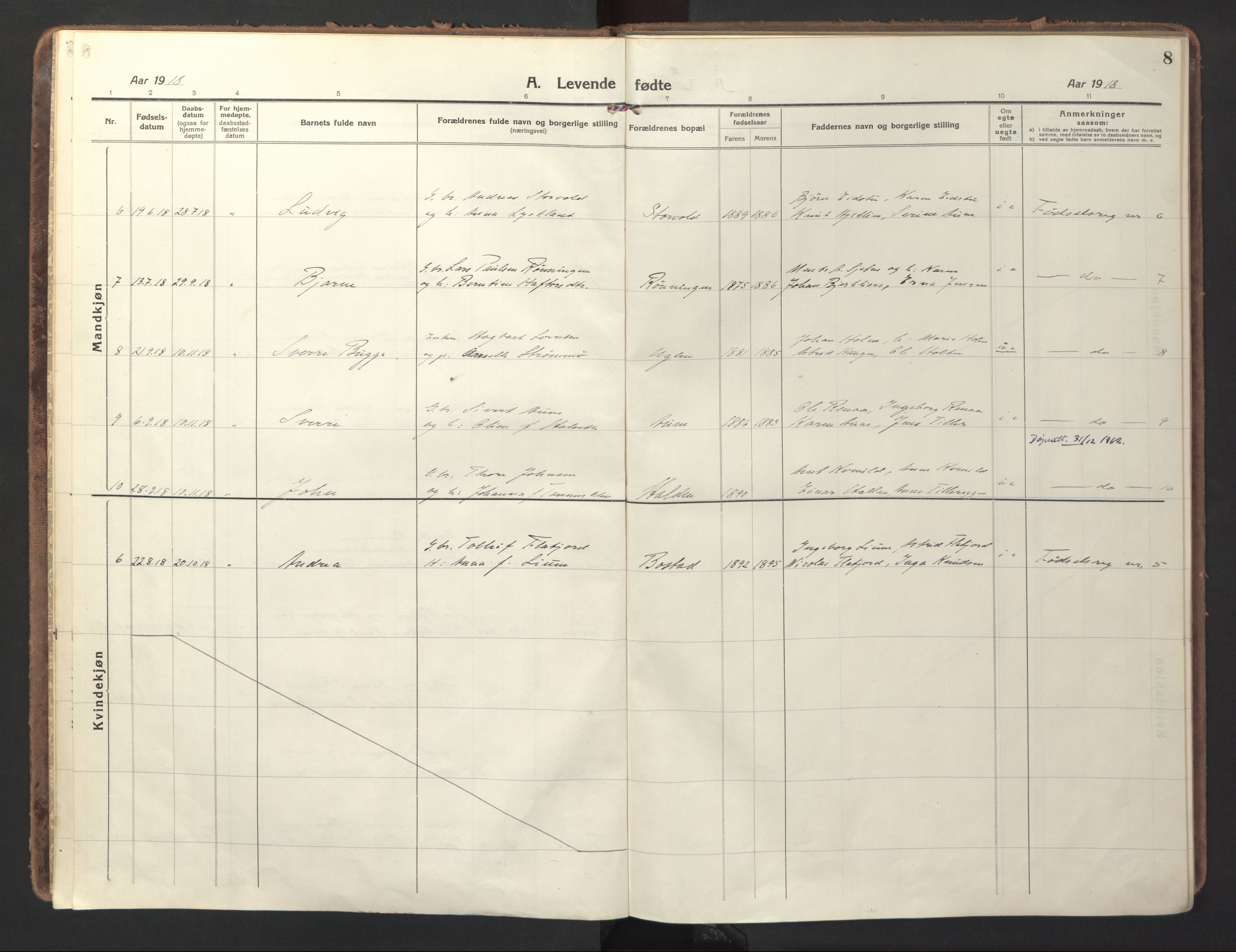 Ministerialprotokoller, klokkerbøker og fødselsregistre - Sør-Trøndelag, AV/SAT-A-1456/618/L0449: Parish register (official) no. 618A12, 1917-1924, p. 8