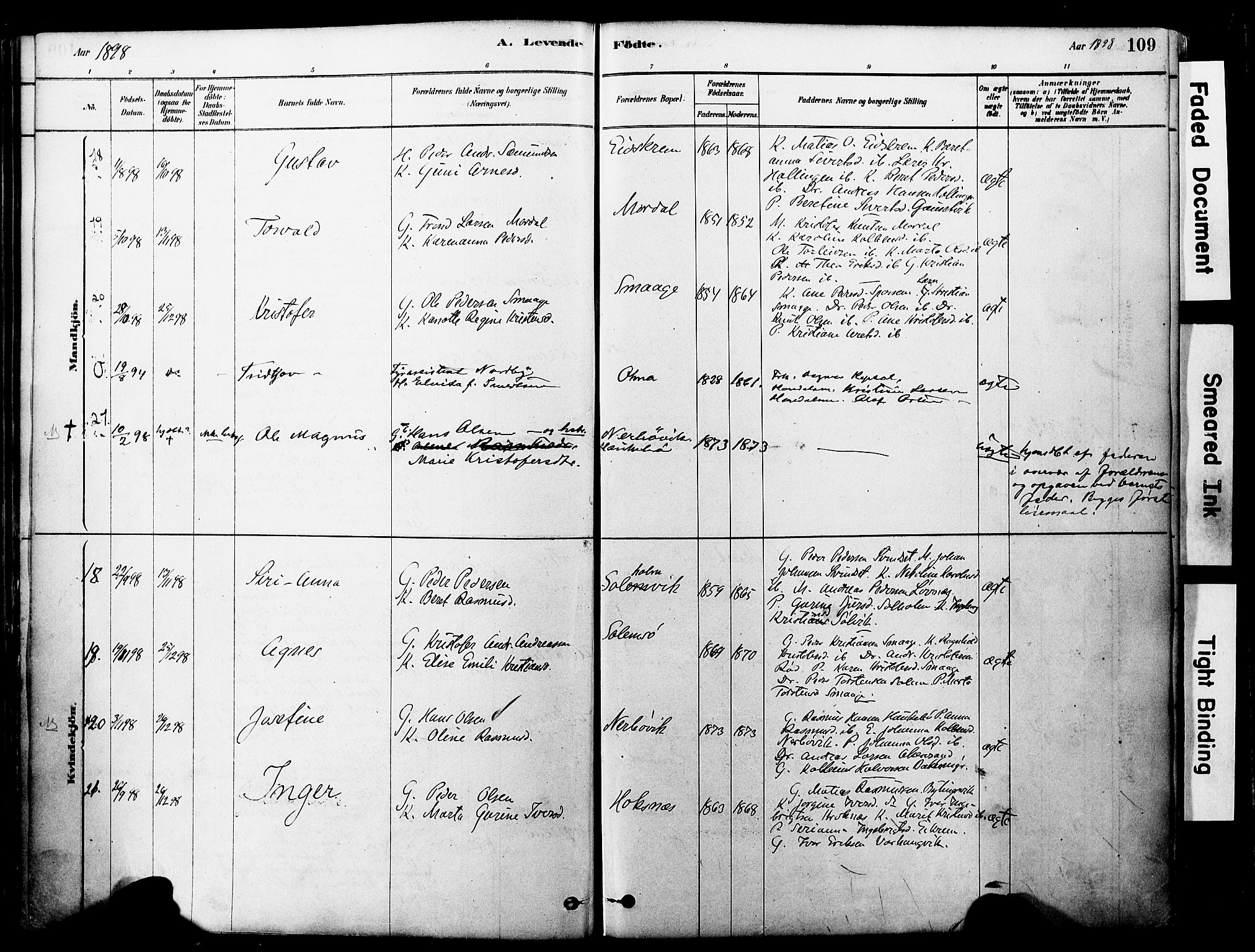 Ministerialprotokoller, klokkerbøker og fødselsregistre - Møre og Romsdal, SAT/A-1454/560/L0721: Parish register (official) no. 560A05, 1878-1917, p. 109