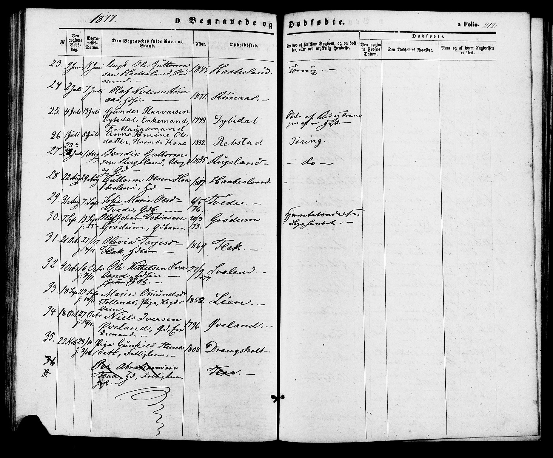 Birkenes sokneprestkontor, AV/SAK-1111-0004/F/Fa/L0004: Parish register (official) no. A 4, 1867-1886, p. 212