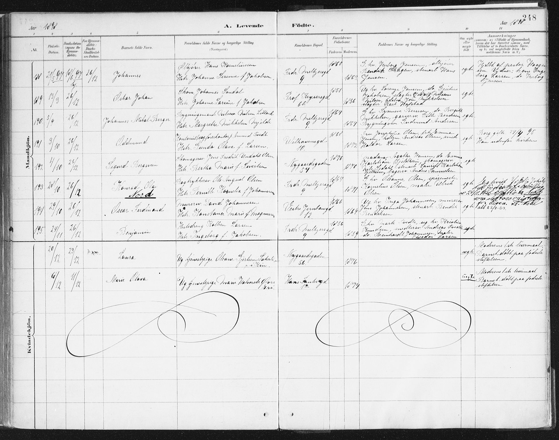 Johanneskirken sokneprestembete, SAB/A-76001/H/Haa/L0001: Parish register (official) no. A 1, 1885-1900, p. 248