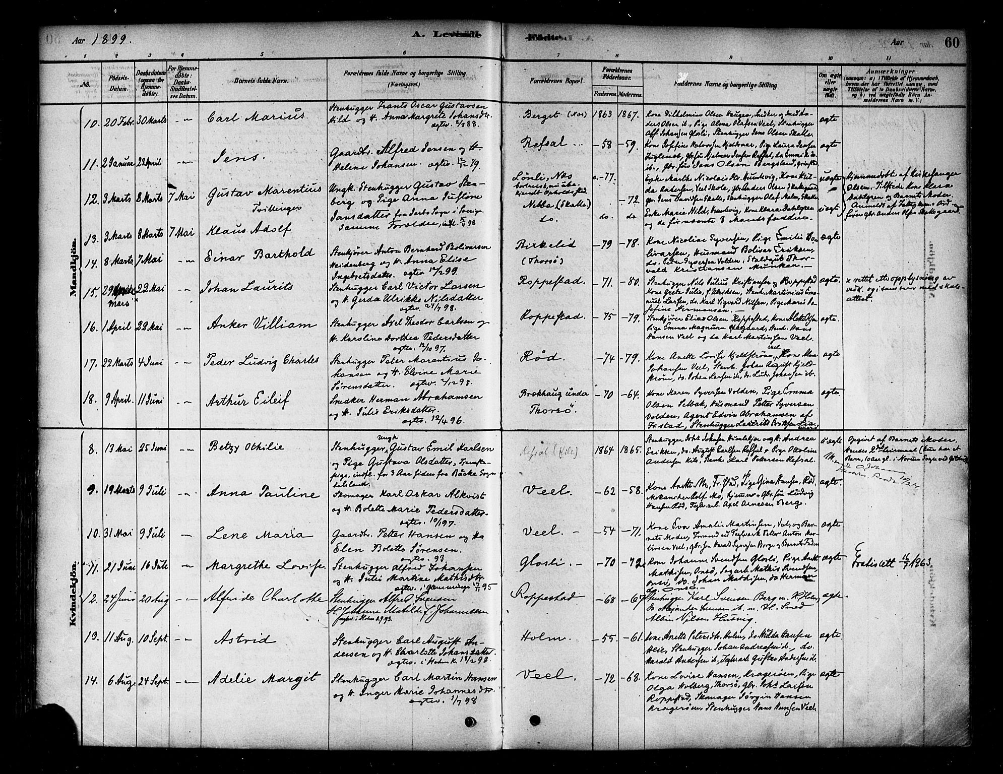 Borge prestekontor Kirkebøker, SAO/A-10903/F/Fb/L0003: Parish register (official) no. II 3, 1878-1902, p. 60
