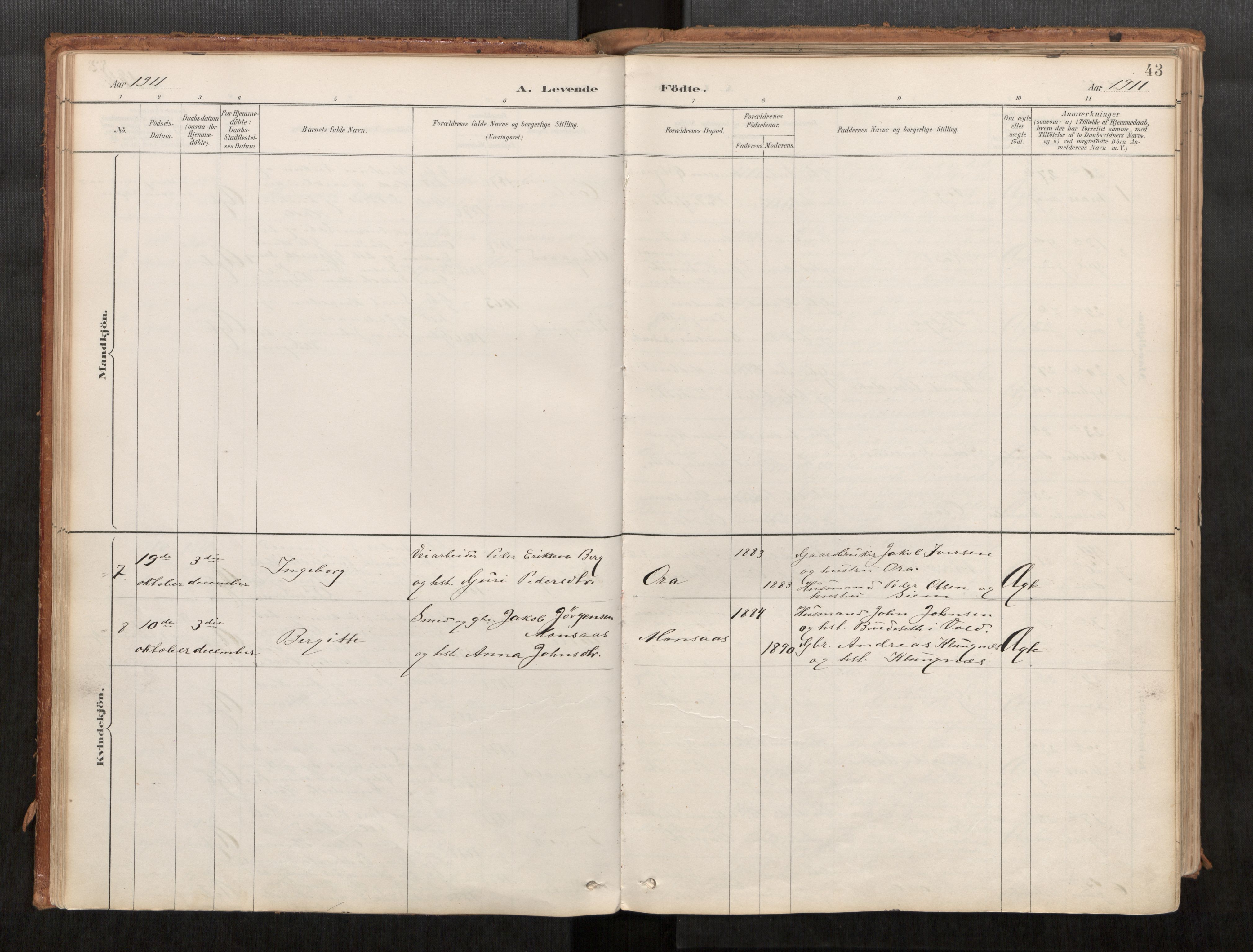 Ministerialprotokoller, klokkerbøker og fødselsregistre - Møre og Romsdal, AV/SAT-A-1454/542/L0553: Parish register (official) no. 542A03, 1885-1925, p. 43