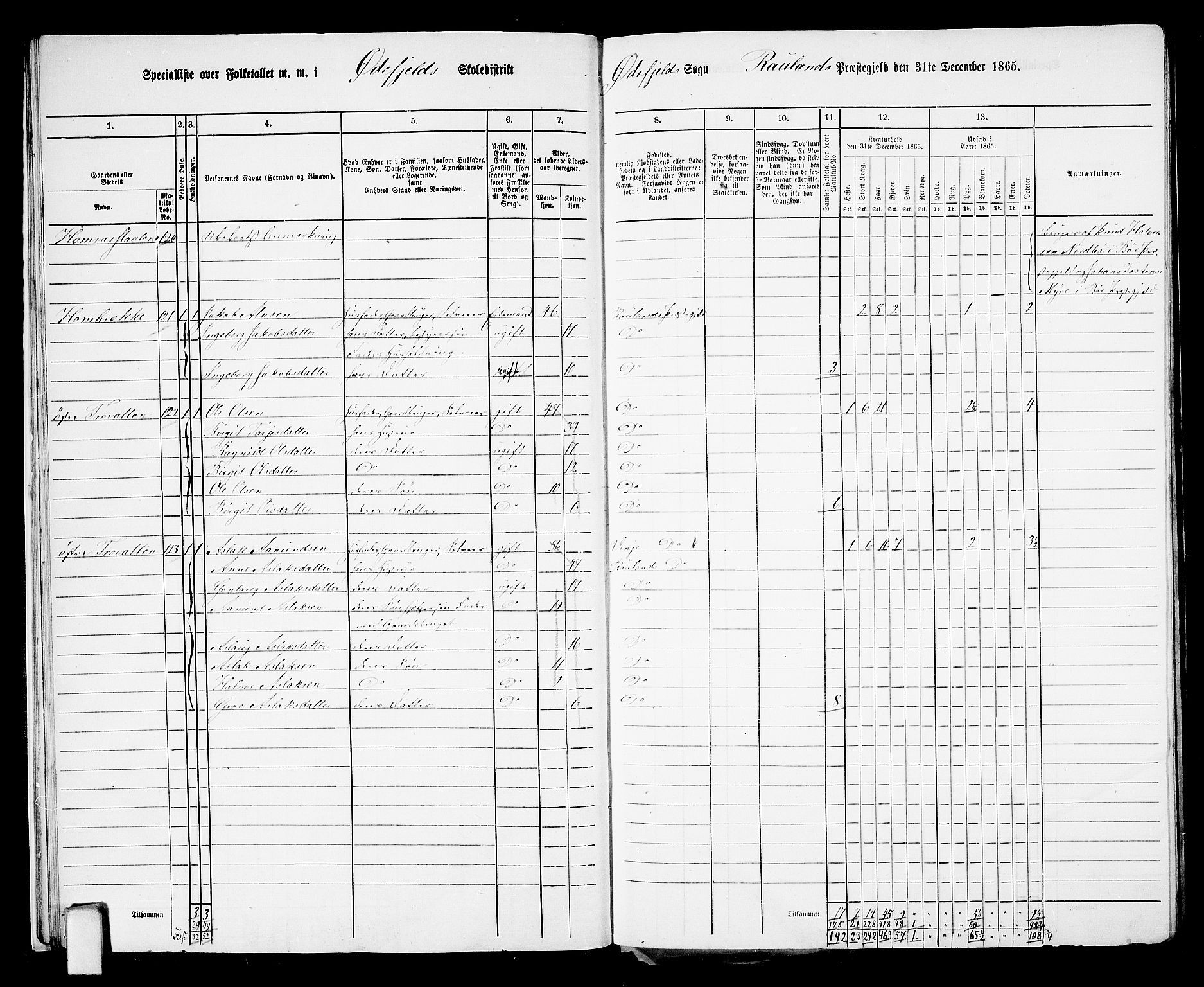 RA, 1865 census for Rauland, 1865, p. 19