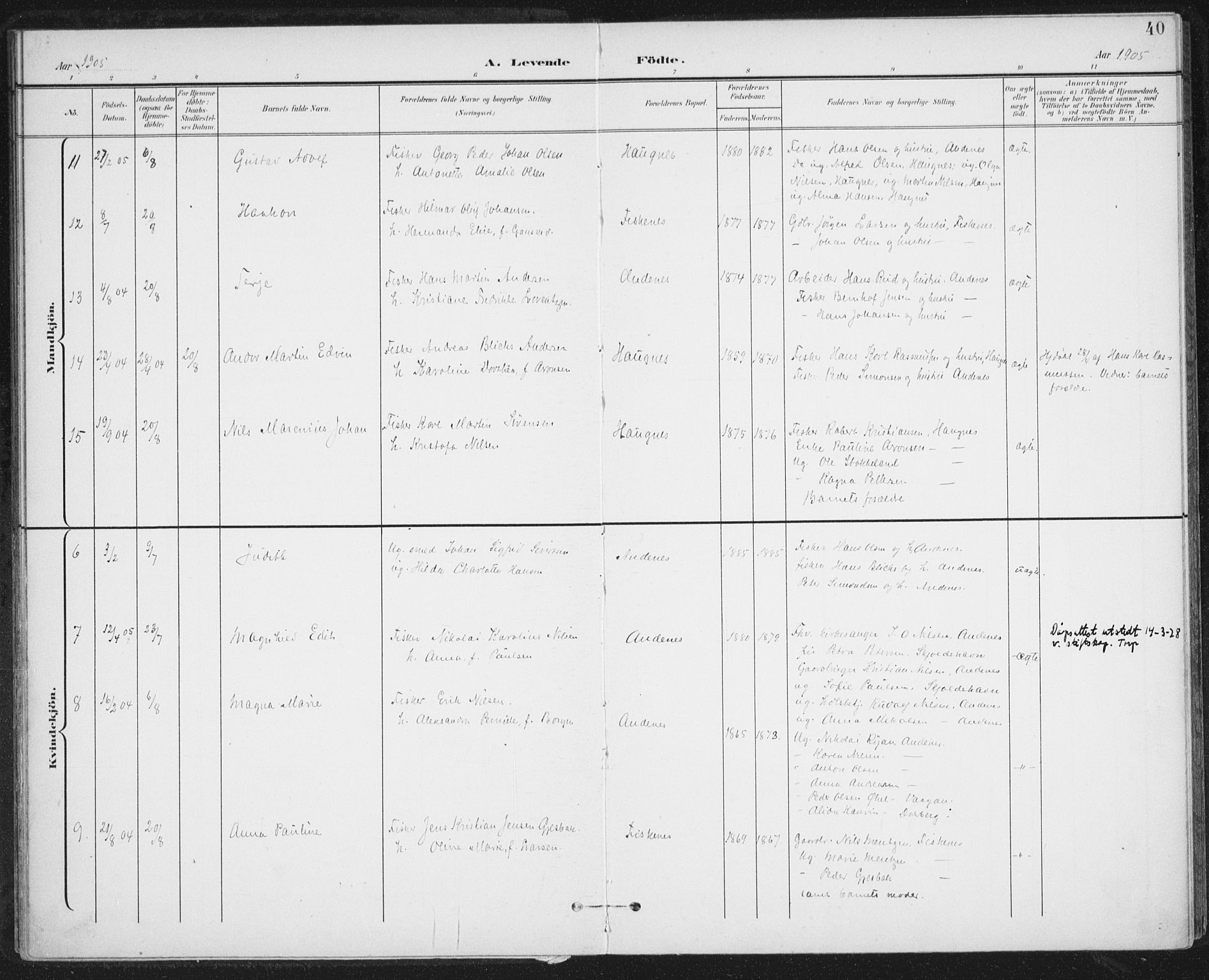 Ministerialprotokoller, klokkerbøker og fødselsregistre - Nordland, AV/SAT-A-1459/899/L1437: Parish register (official) no. 899A05, 1897-1908, p. 40