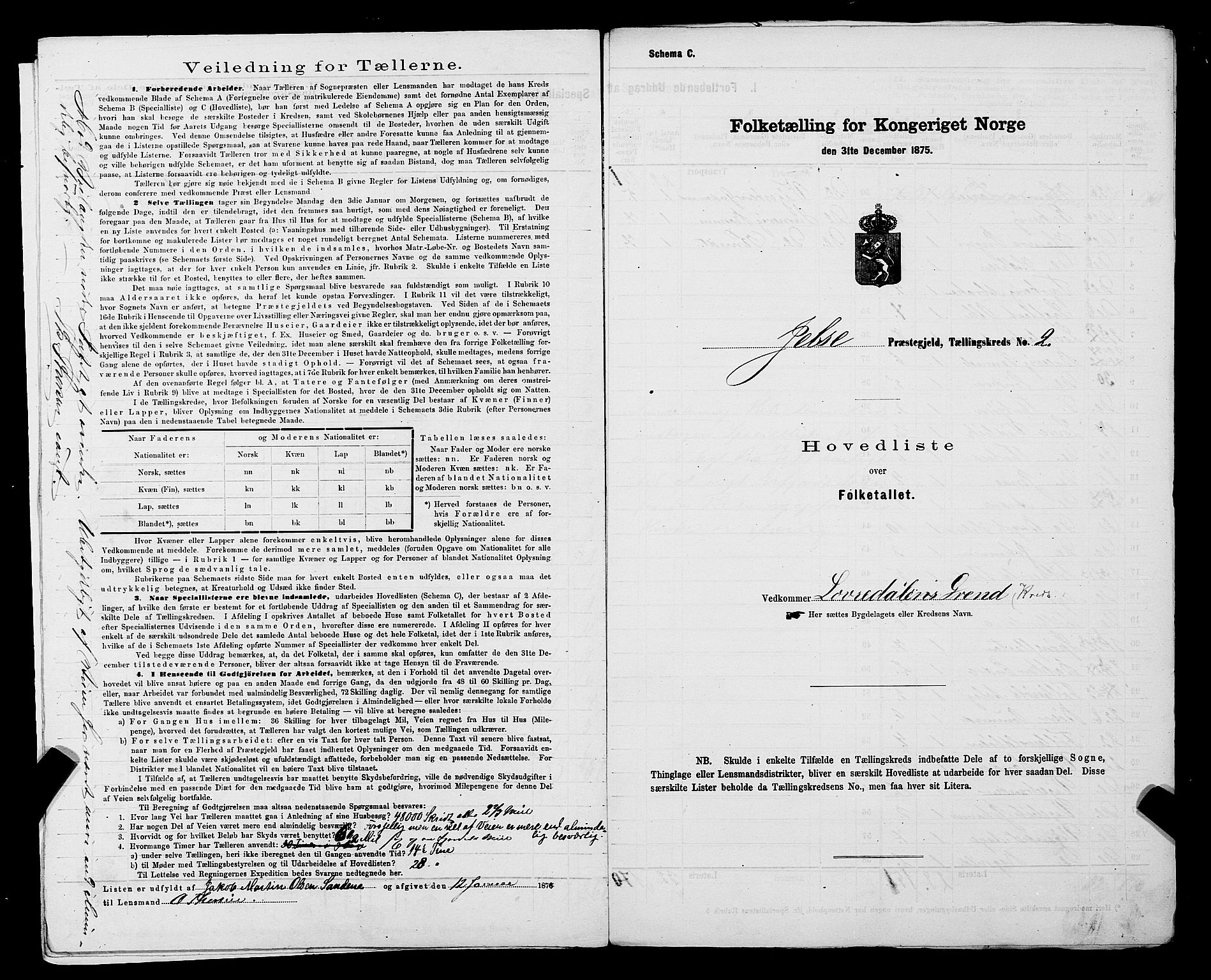SAST, 1875 census for 1138P Jelsa, 1875, p. 6