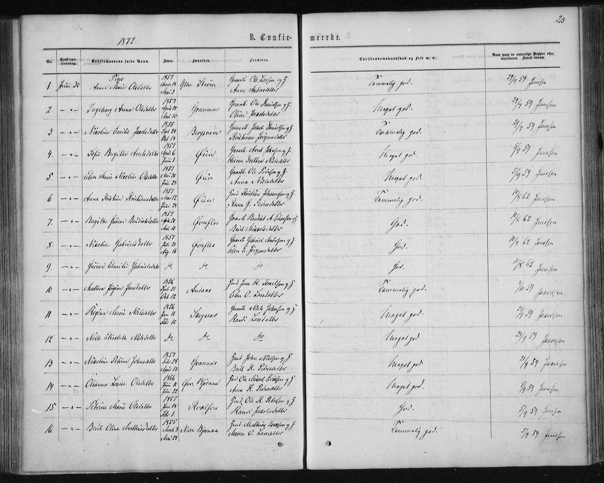 Ministerialprotokoller, klokkerbøker og fødselsregistre - Nordland, AV/SAT-A-1459/820/L0294: Parish register (official) no. 820A15, 1866-1879, p. 213