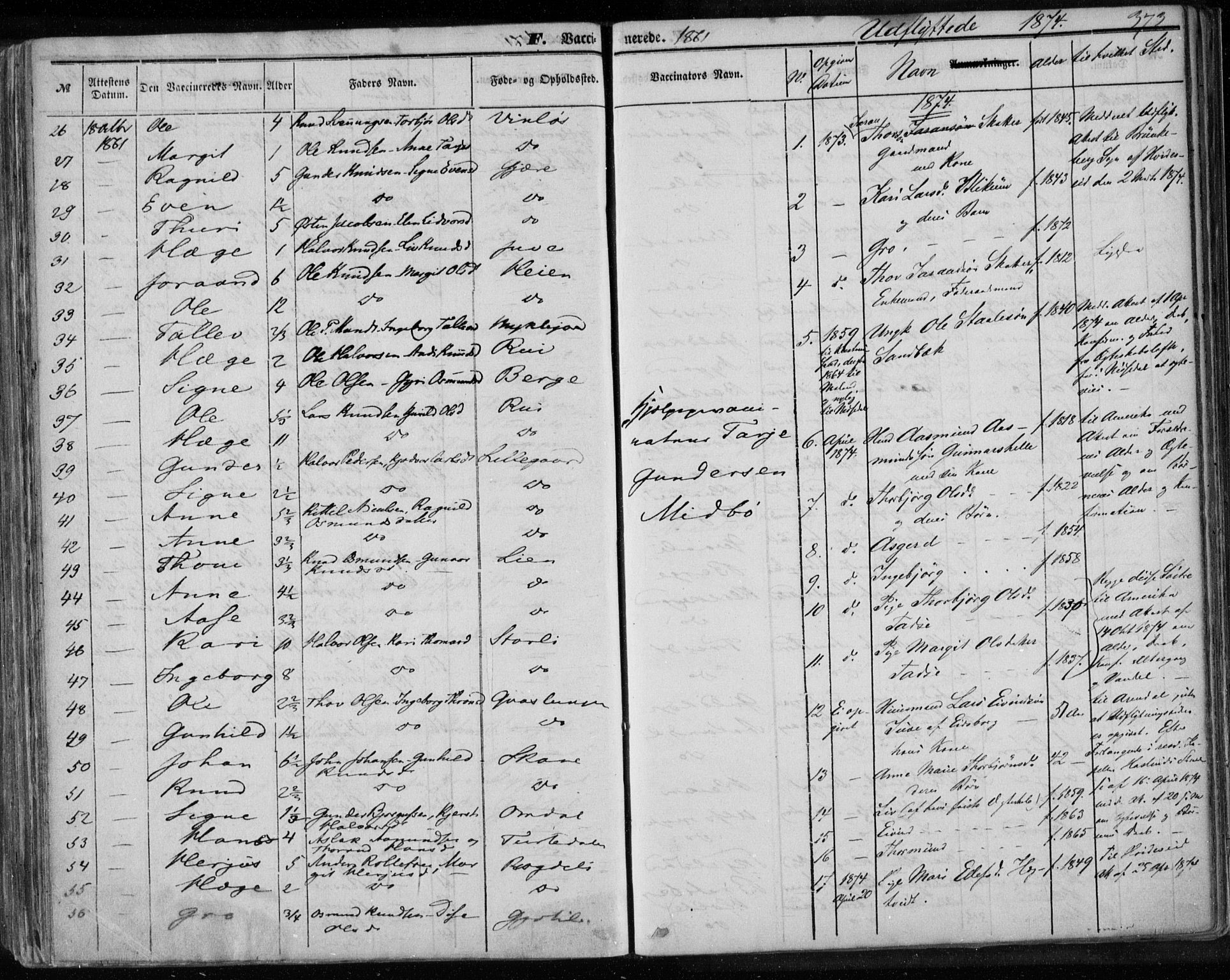 Lårdal kirkebøker, SAKO/A-284/F/Fa/L0006: Parish register (official) no. I 6, 1861-1886, p. 373