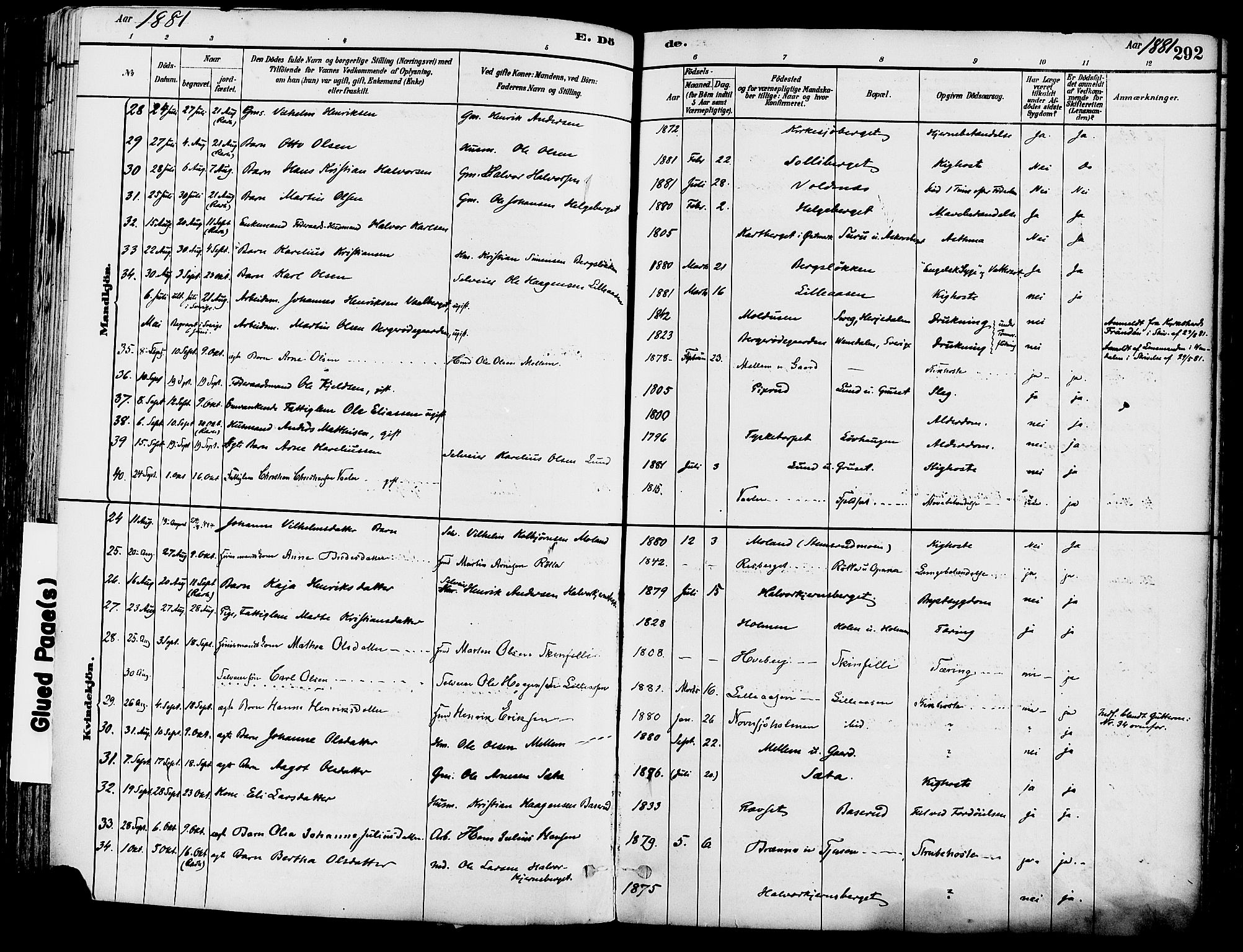 Grue prestekontor, AV/SAH-PREST-036/H/Ha/Haa/L0012: Parish register (official) no. 12, 1881-1897, p. 292