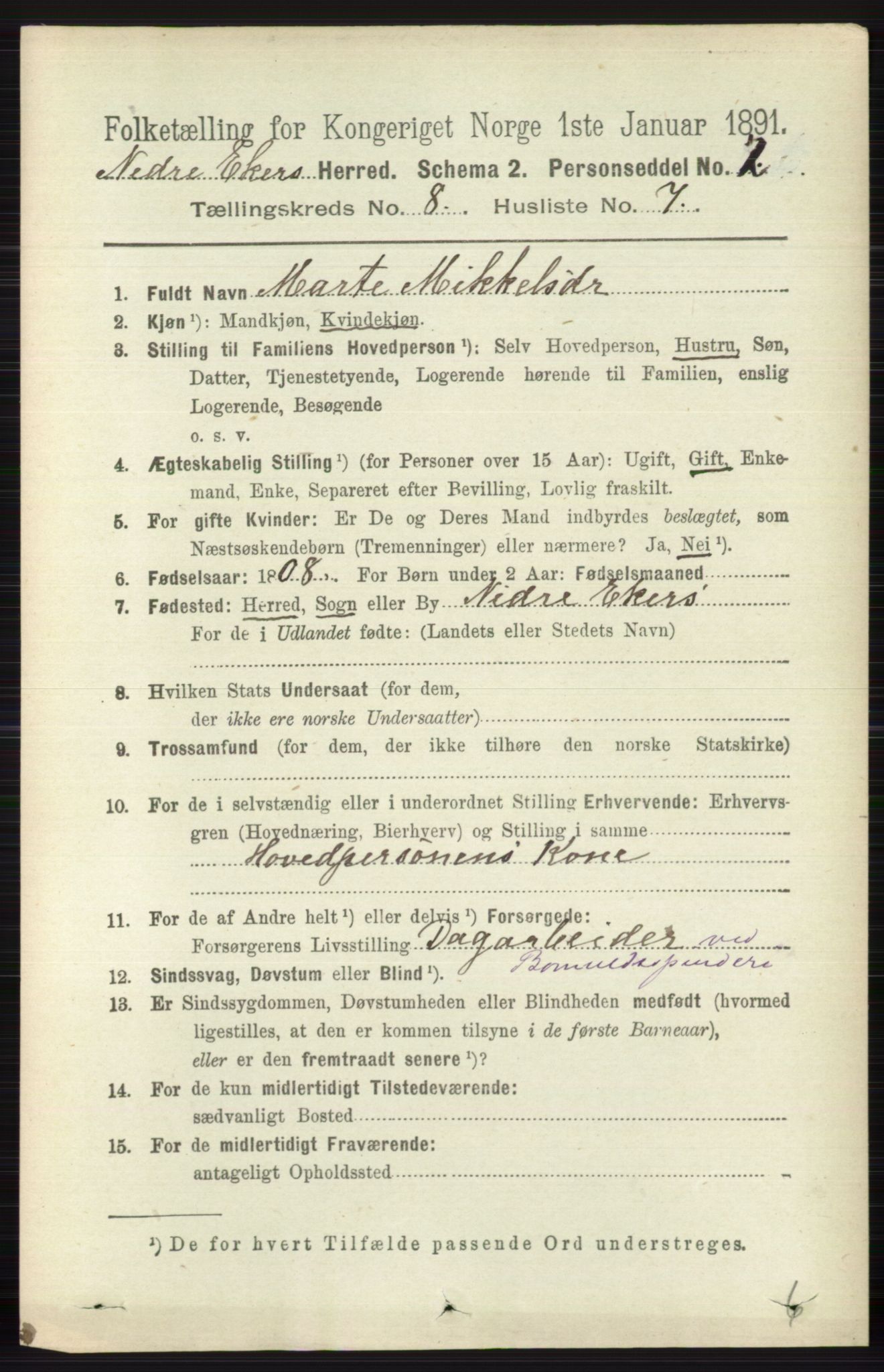 RA, 1891 census for 0625 Nedre Eiker, 1891, p. 3992