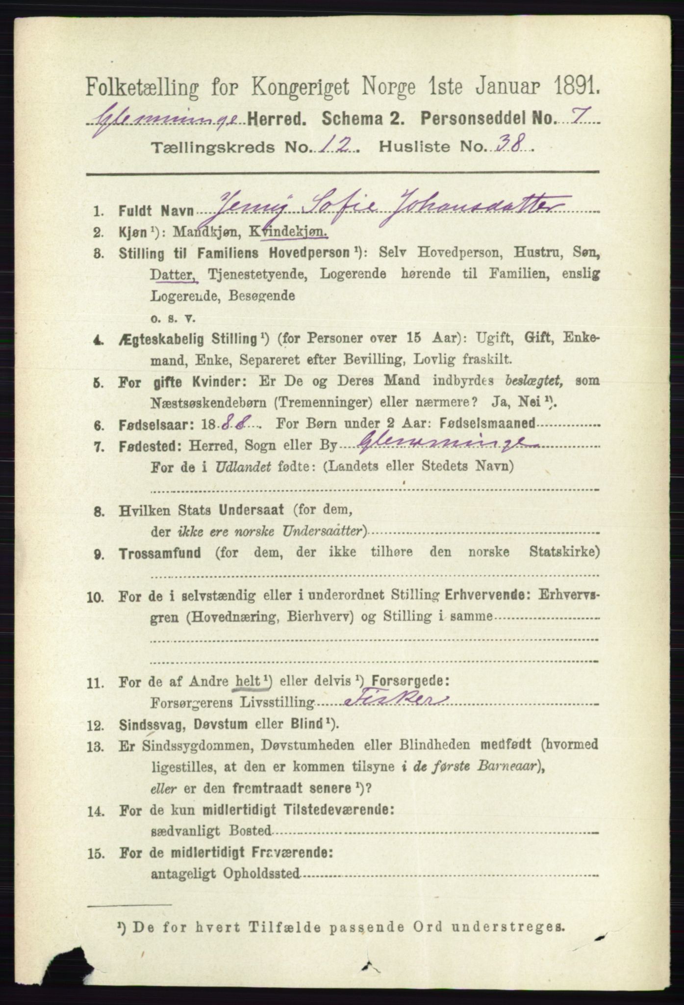 RA, 1891 census for 0132 Glemmen, 1891, p. 11062