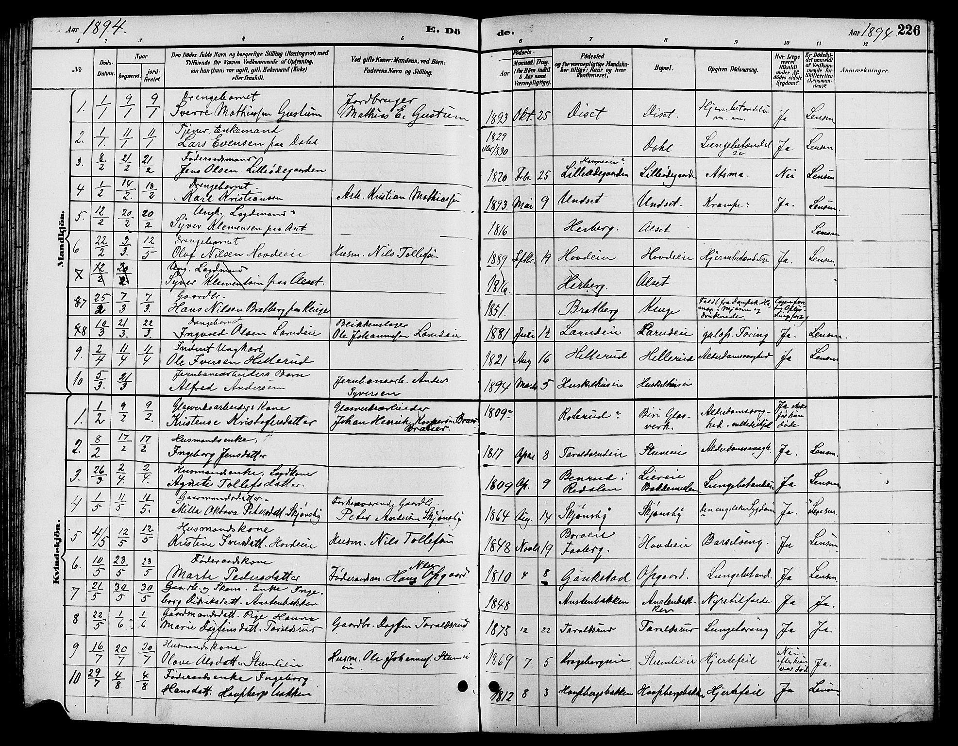 Biri prestekontor, SAH/PREST-096/H/Ha/Hab/L0004: Parish register (copy) no. 4, 1892-1909, p. 226