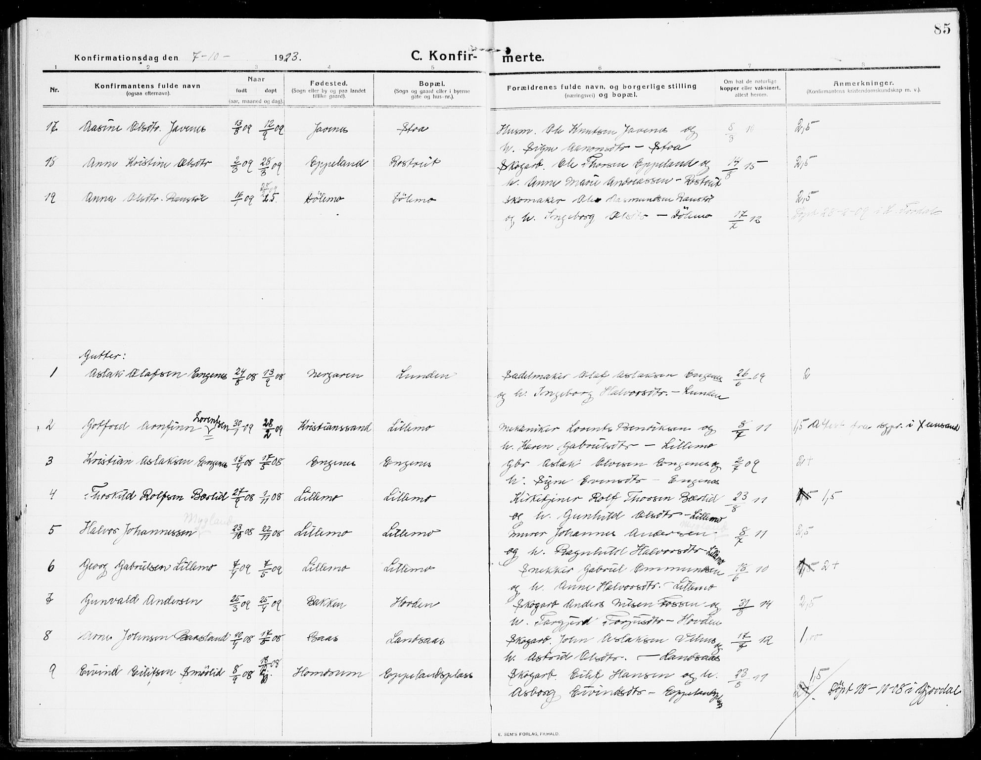 Åmli sokneprestkontor, AV/SAK-1111-0050/F/Fa/Fac/L0013: Parish register (official) no. A 13, 1914-1933, p. 85