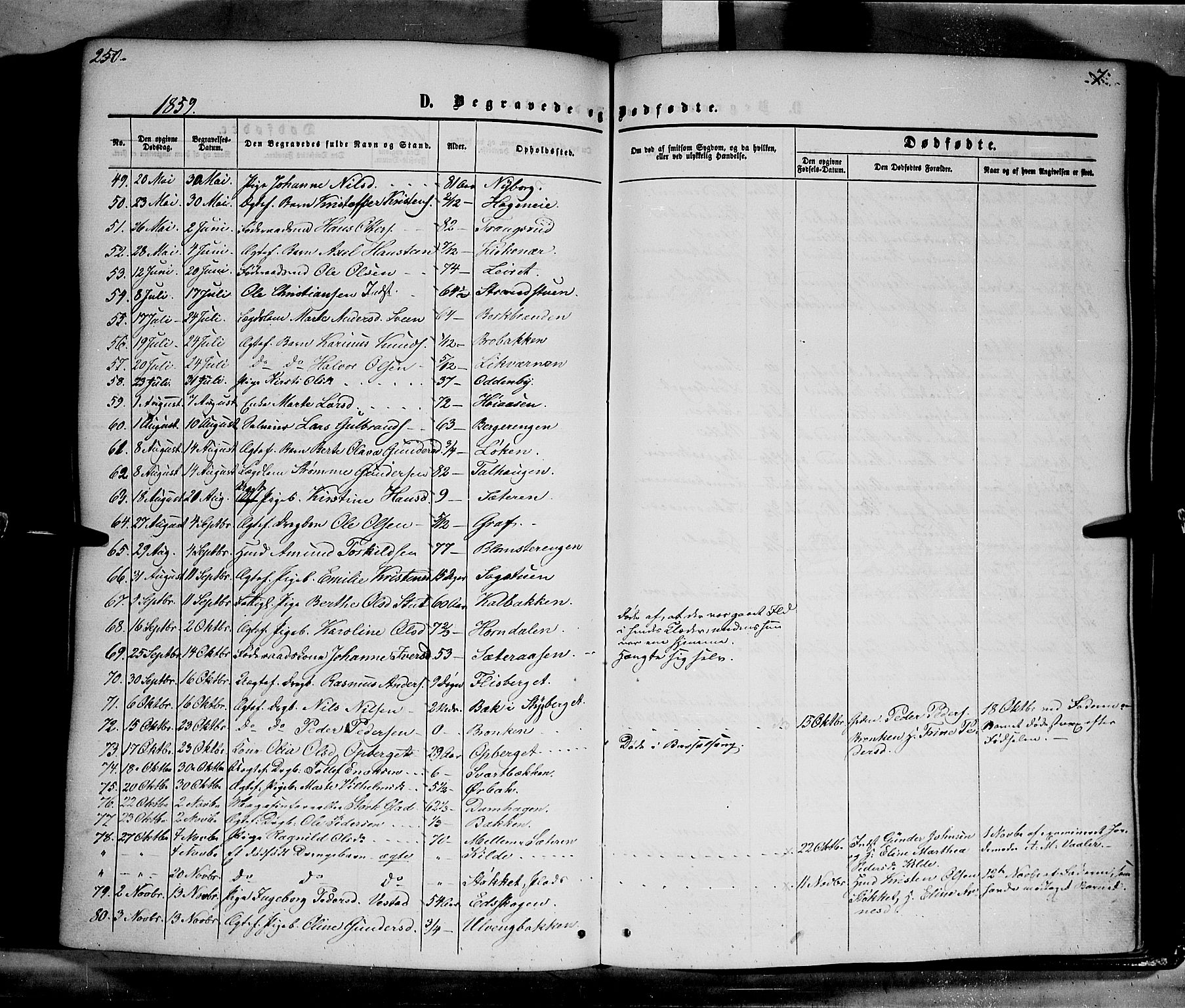 Elverum prestekontor, AV/SAH-PREST-044/H/Ha/Haa/L0010: Parish register (official) no. 10, 1857-1868, p. 250