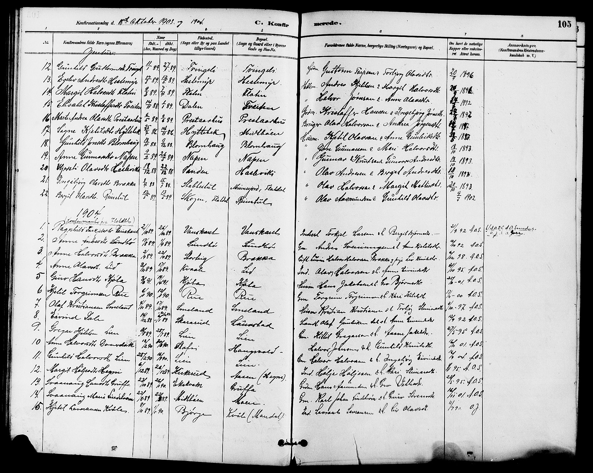 Seljord kirkebøker, SAKO/A-20/G/Ga/L0005: Parish register (copy) no. I 5, 1887-1914, p. 105