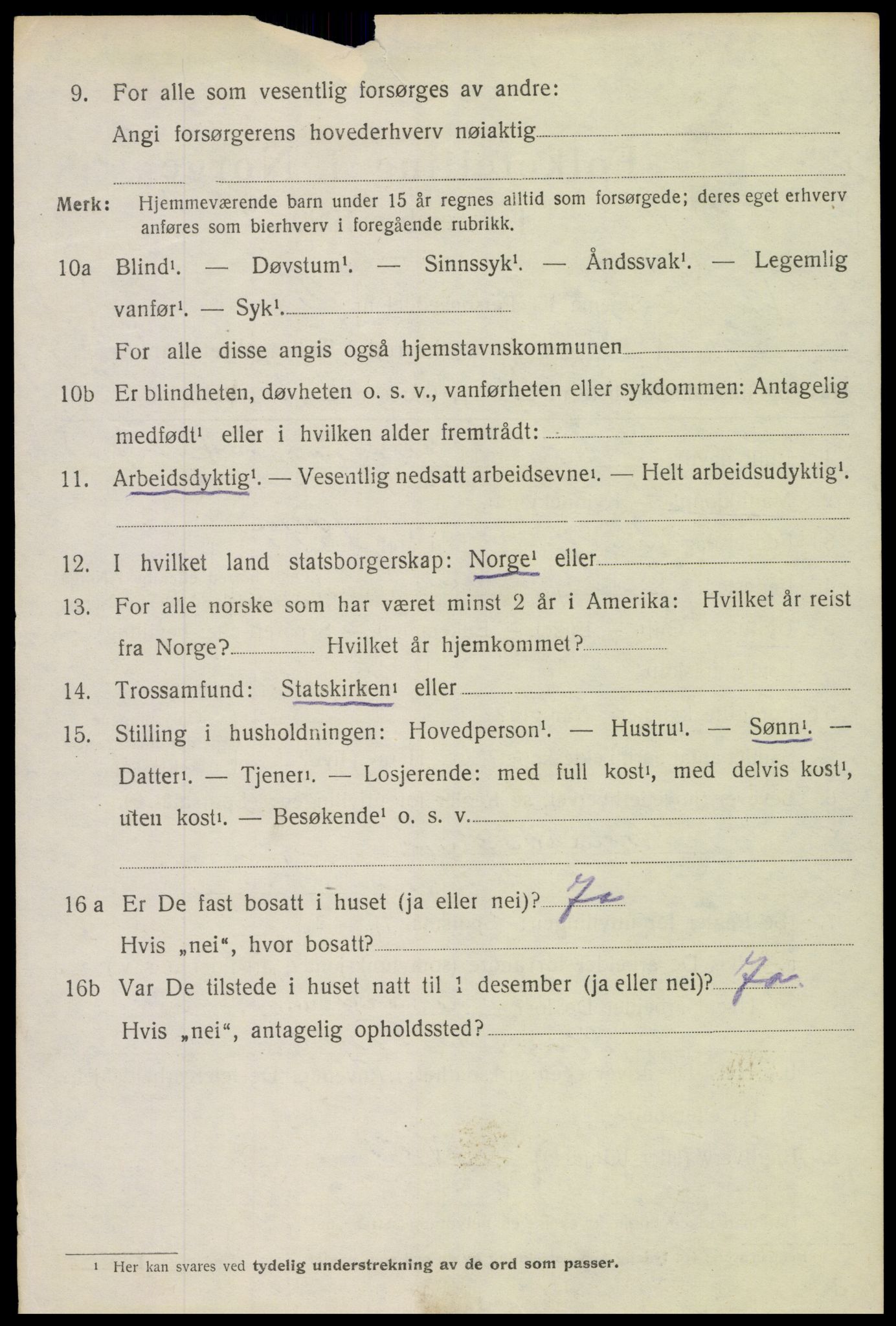 SAH, 1920 census for Brandbu, 1920, p. 10528