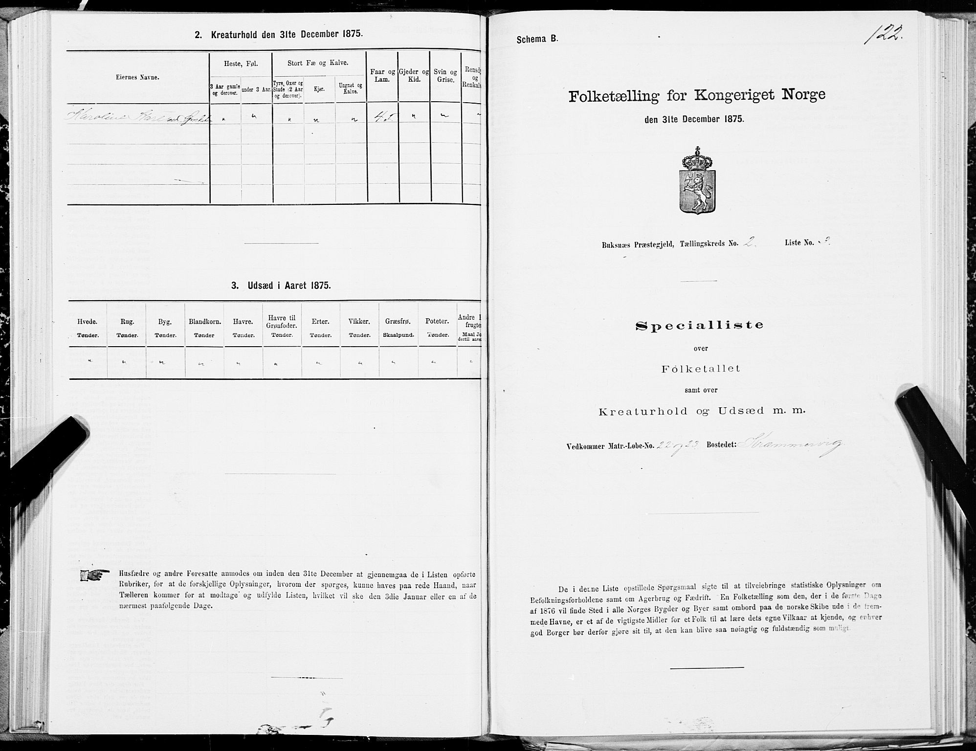 SAT, 1875 census for 1860P Buksnes, 1875, p. 1122