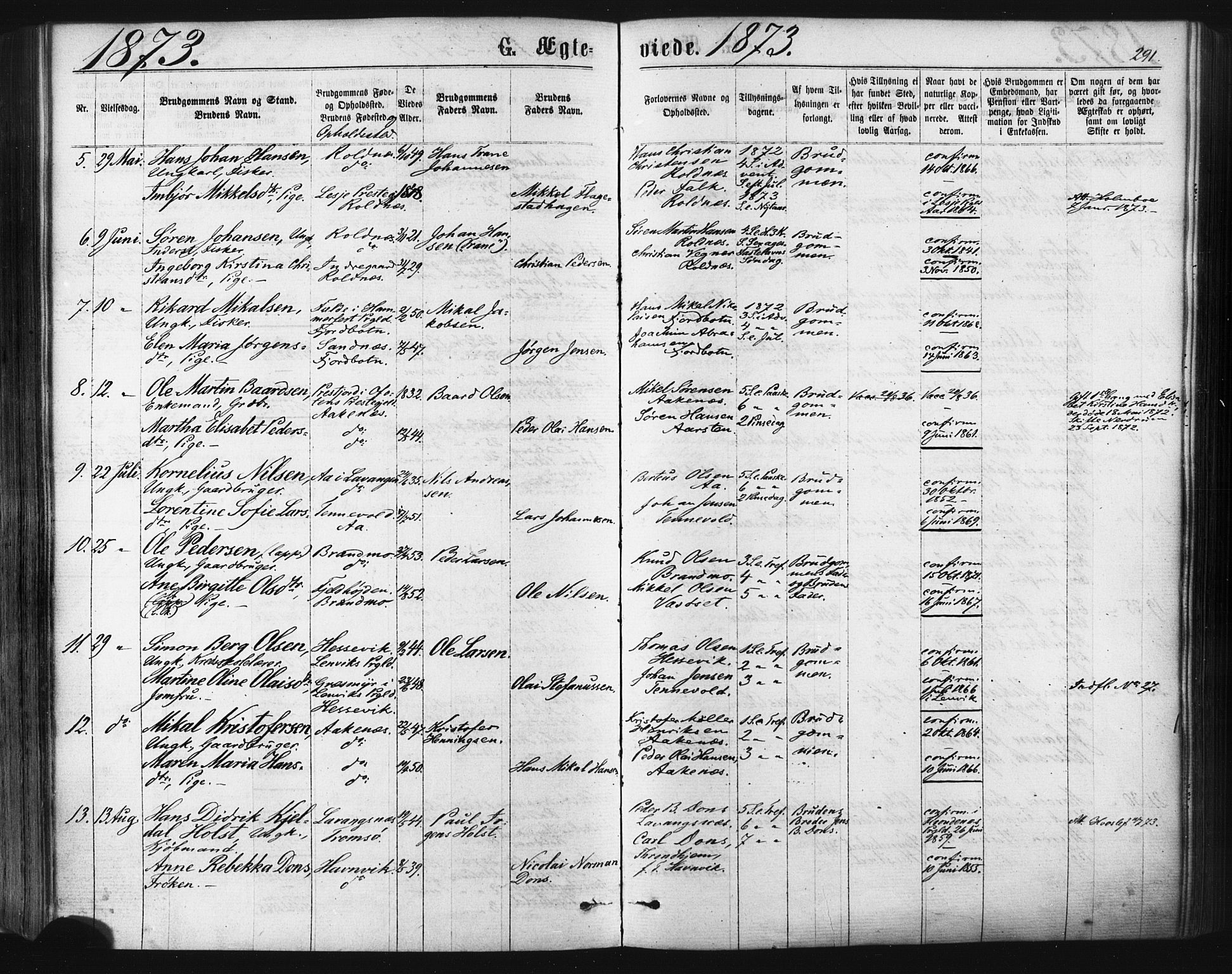 Ibestad sokneprestembete, SATØ/S-0077/H/Ha/Haa/L0010kirke: Parish register (official) no. 10, 1869-1879, p. 291