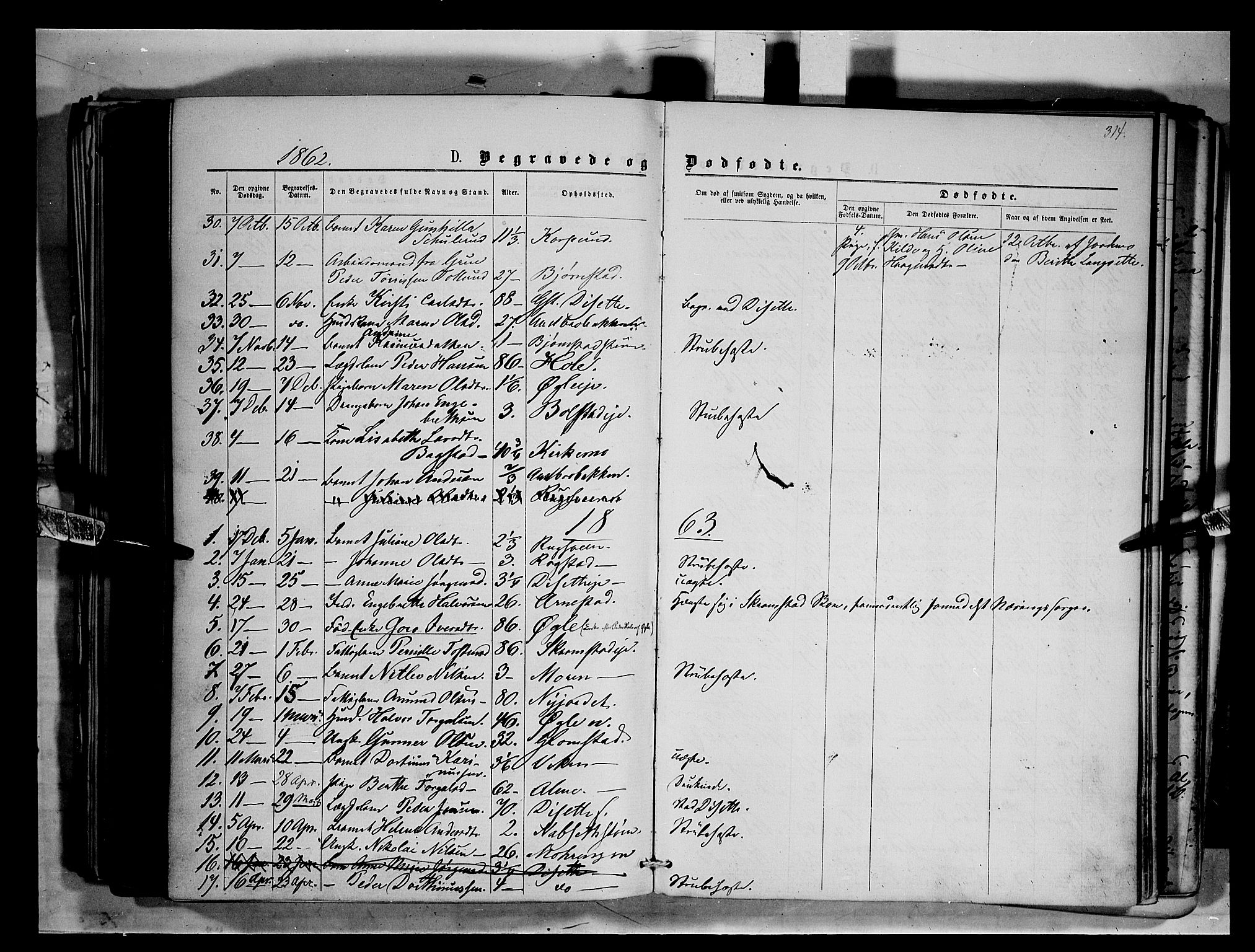 Åmot prestekontor, Hedmark, SAH/PREST-056/H/Ha/Haa/L0008: Parish register (official) no. 8, 1862-1875, p. 314