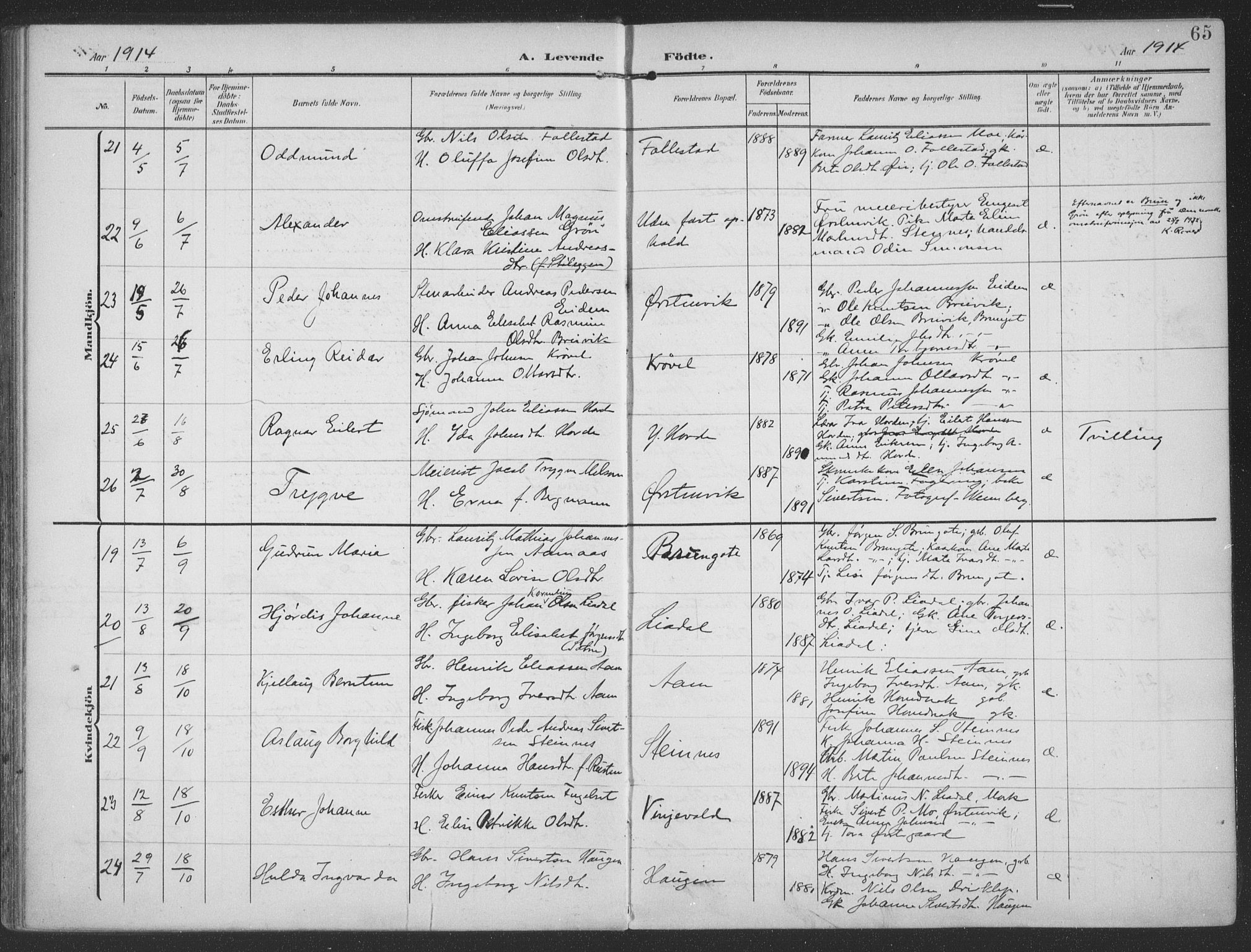 Ministerialprotokoller, klokkerbøker og fødselsregistre - Møre og Romsdal, AV/SAT-A-1454/513/L0178: Parish register (official) no. 513A05, 1906-1919, p. 65