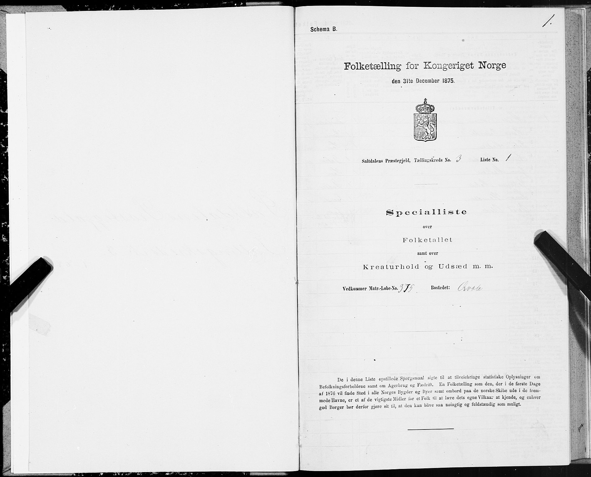 SAT, 1875 census for 1840P Saltdal, 1875, p. 2001