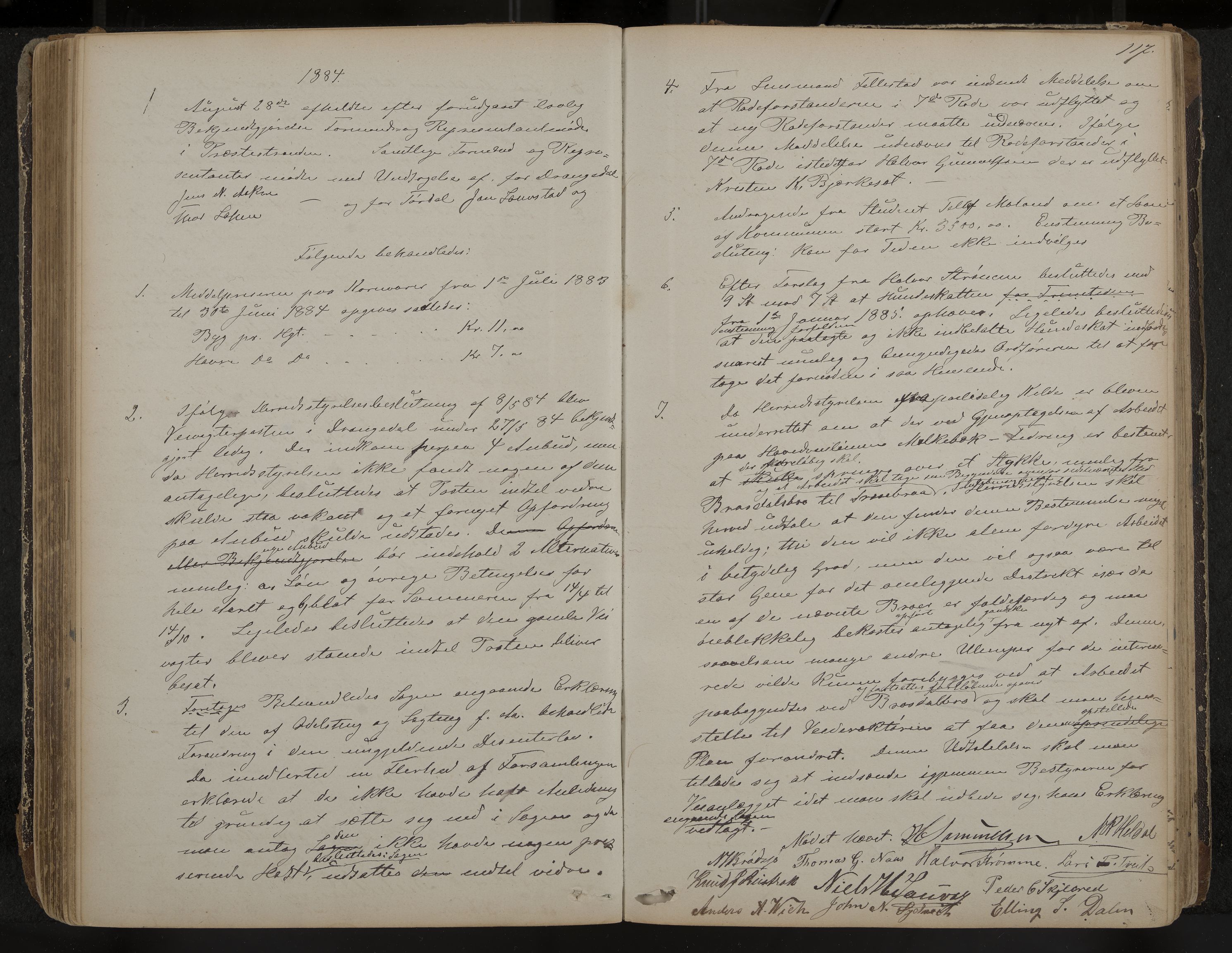 Drangedal formannskap og sentraladministrasjon, IKAK/0817021/A/L0002: Møtebok, 1870-1892, p. 117