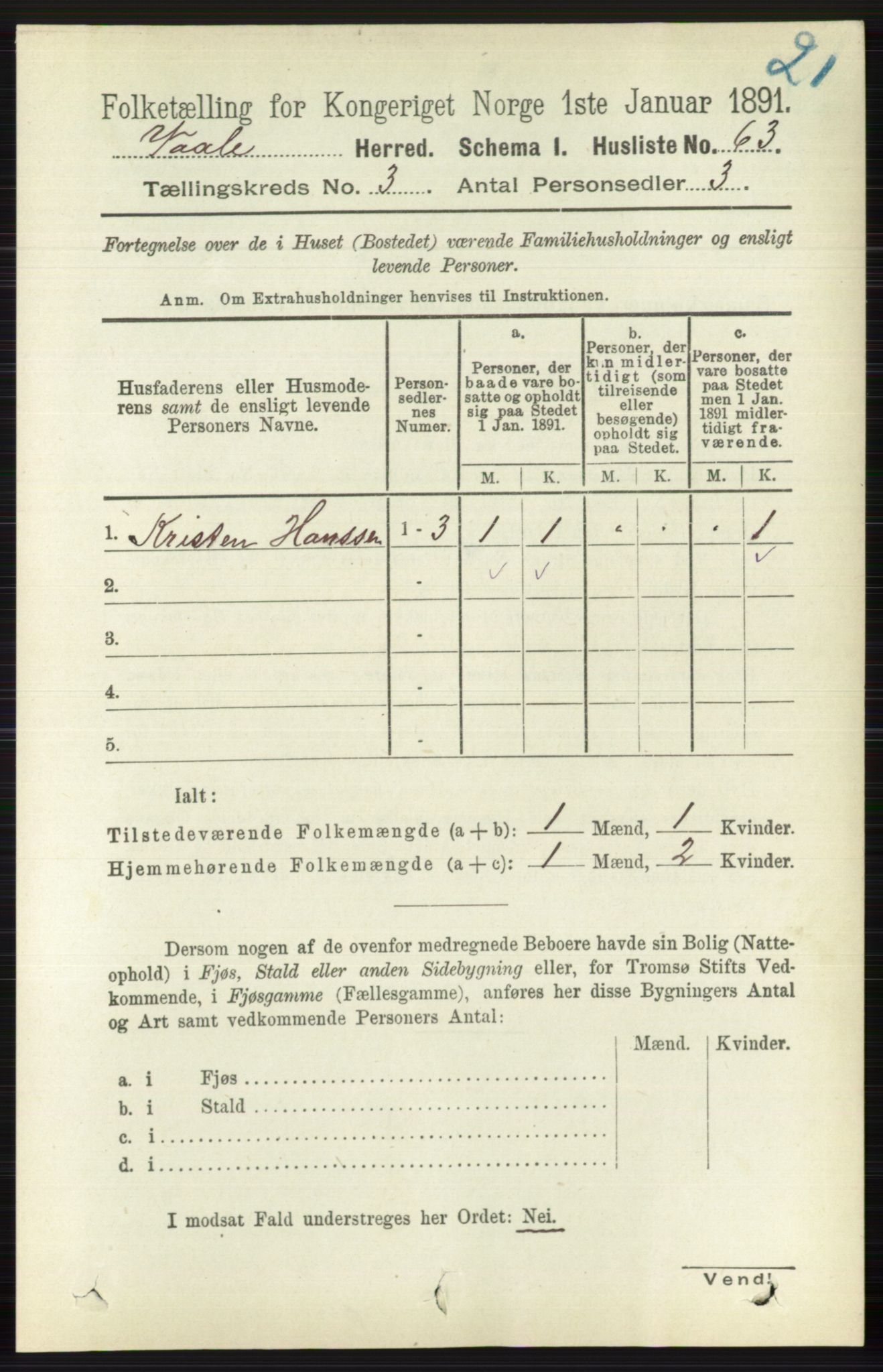 RA, 1891 census for 0716 Våle, 1891, p. 545