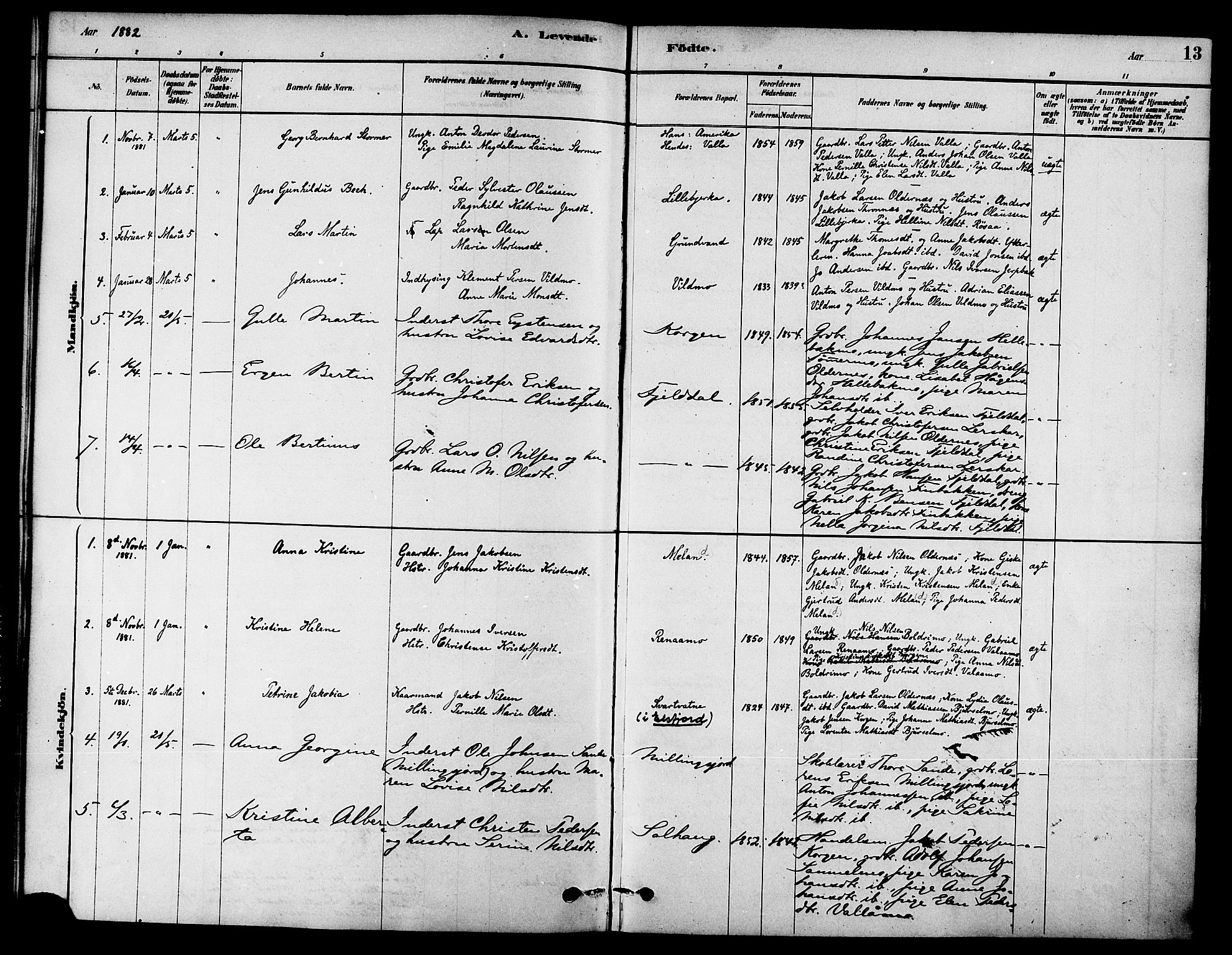 Ministerialprotokoller, klokkerbøker og fødselsregistre - Nordland, AV/SAT-A-1459/826/L0379: Parish register (official) no. 826A02, 1878-1895, p. 13