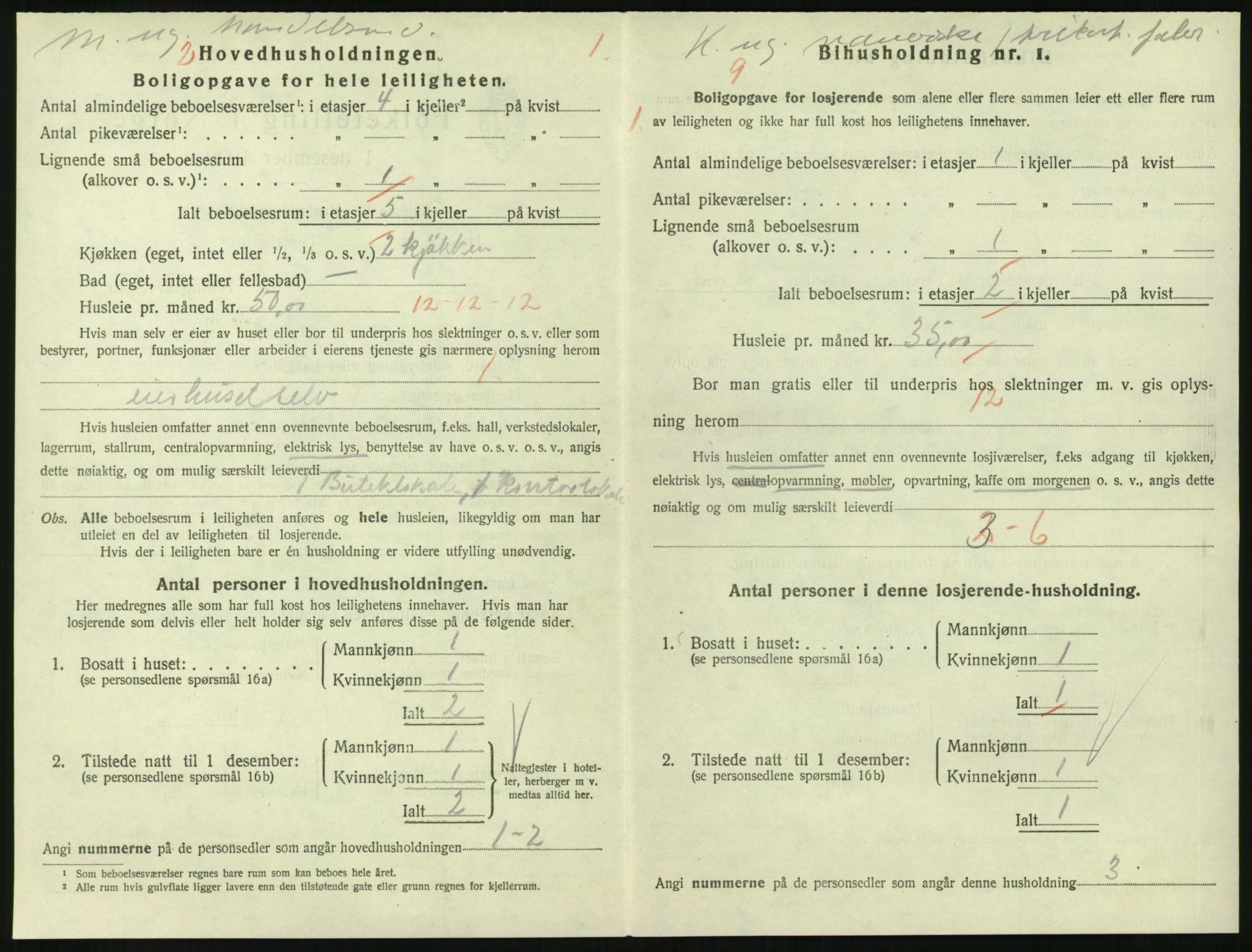 SAKO, 1920 census for Larvik, 1920, p. 4089