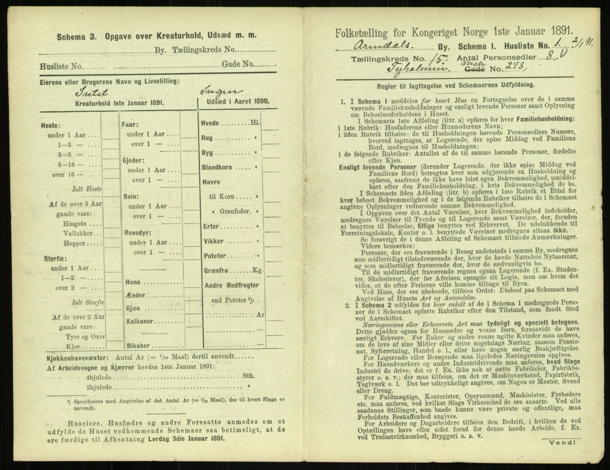 RA, 1891 census for 0903 Arendal, 1891, p. 794