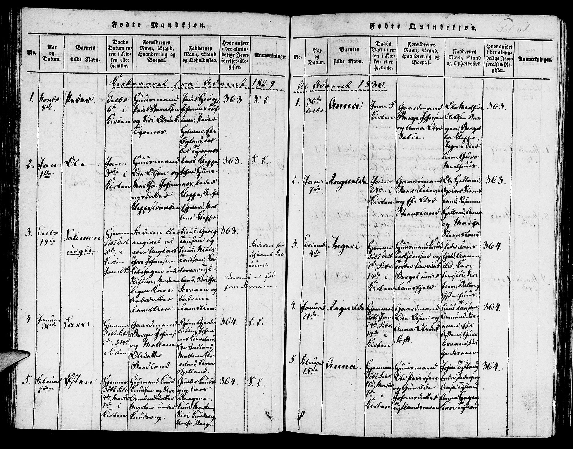 Hjelmeland sokneprestkontor, AV/SAST-A-101843/01/IV/L0003: Parish register (official) no. A 3, 1816-1834, p. 61