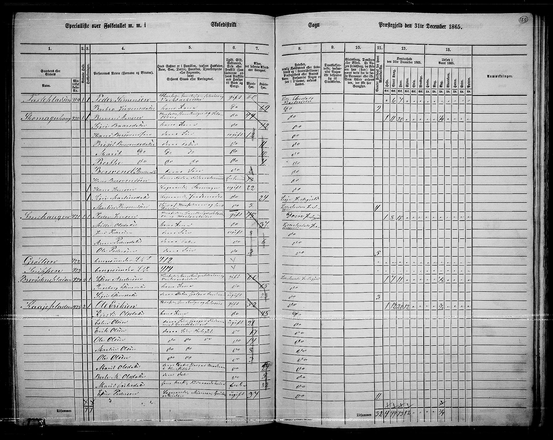 RA, 1865 census for Lille Elvedalen, 1865, p. 105