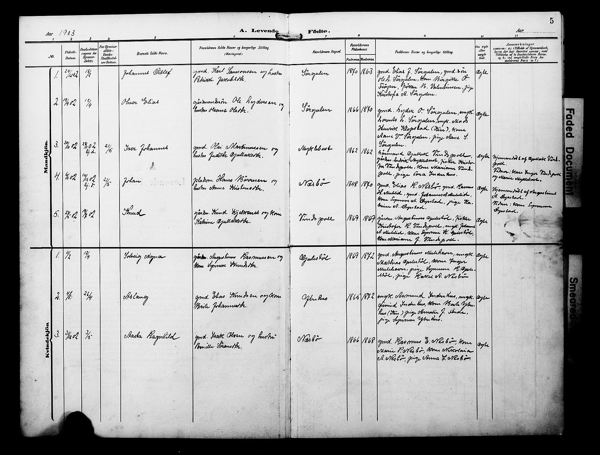 Davik sokneprestembete, AV/SAB-A-79701/H/Hab/Habb/L0001: Parish register (copy) no. B 1, 1903-1928, p. 5