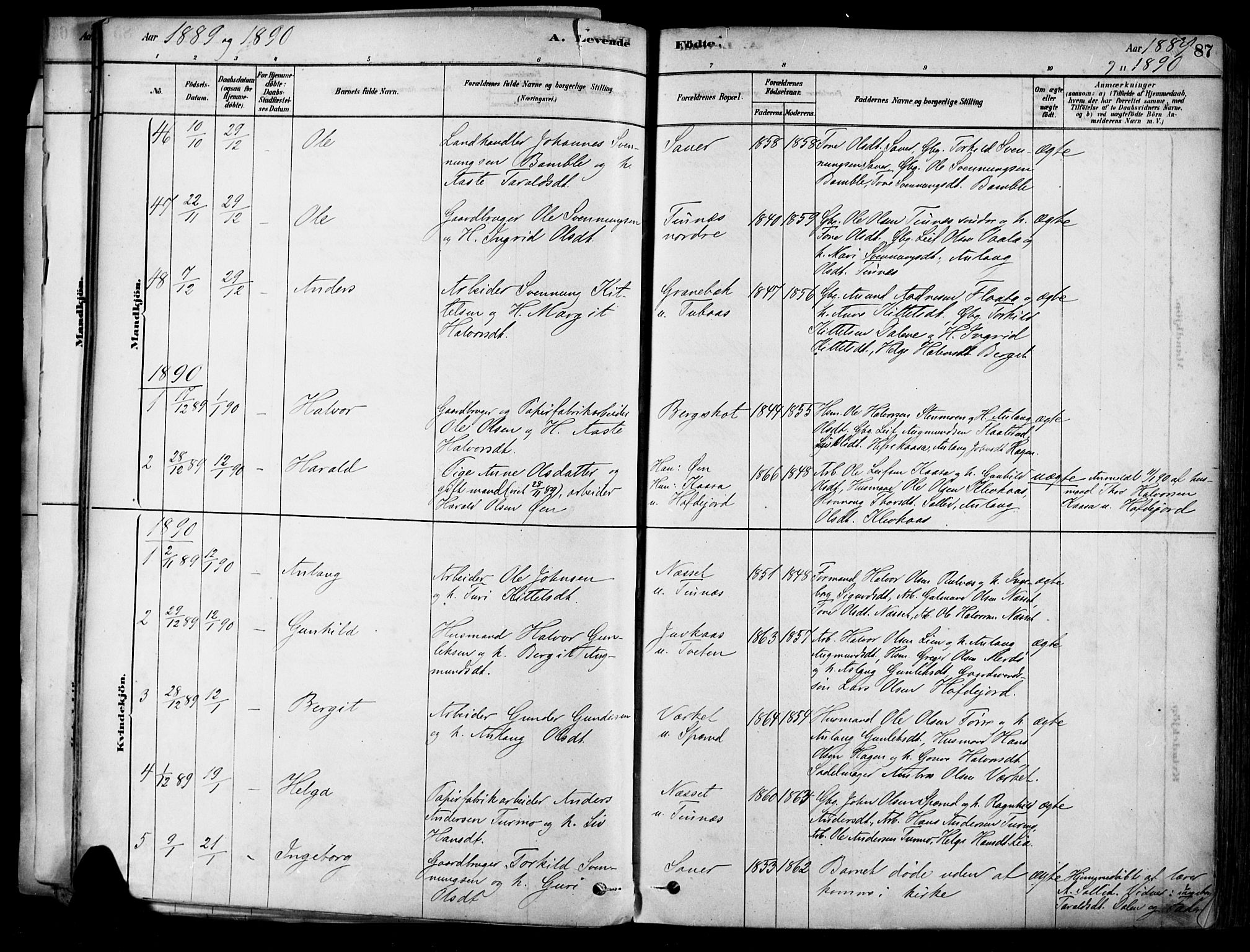 Heddal kirkebøker, SAKO/A-268/F/Fa/L0008: Parish register (official) no. I 8, 1878-1903, p. 86
