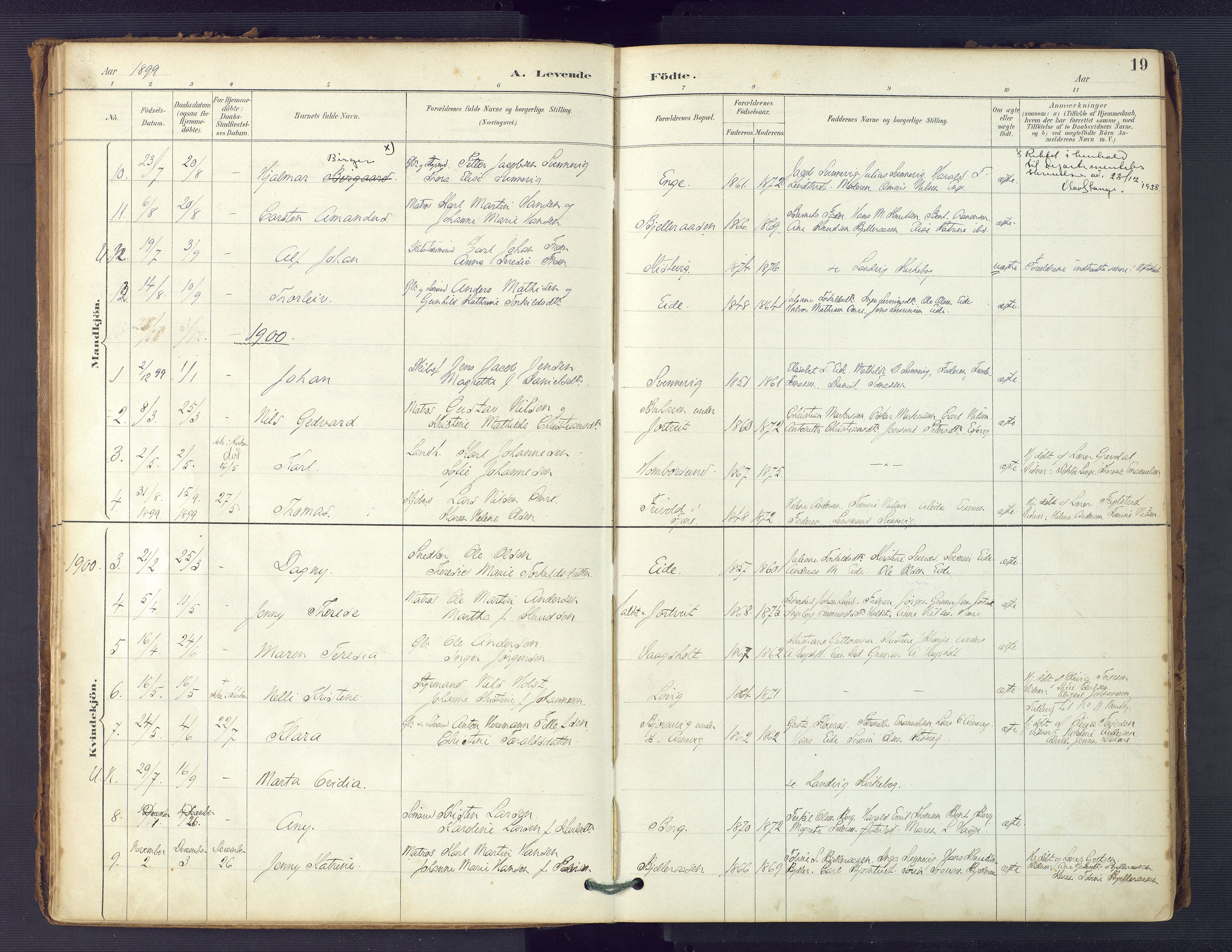 Hommedal sokneprestkontor, SAK/1111-0023/F/Fa/Faa/L0003: Parish register (official) no. A 3, 1885-1916, p. 19