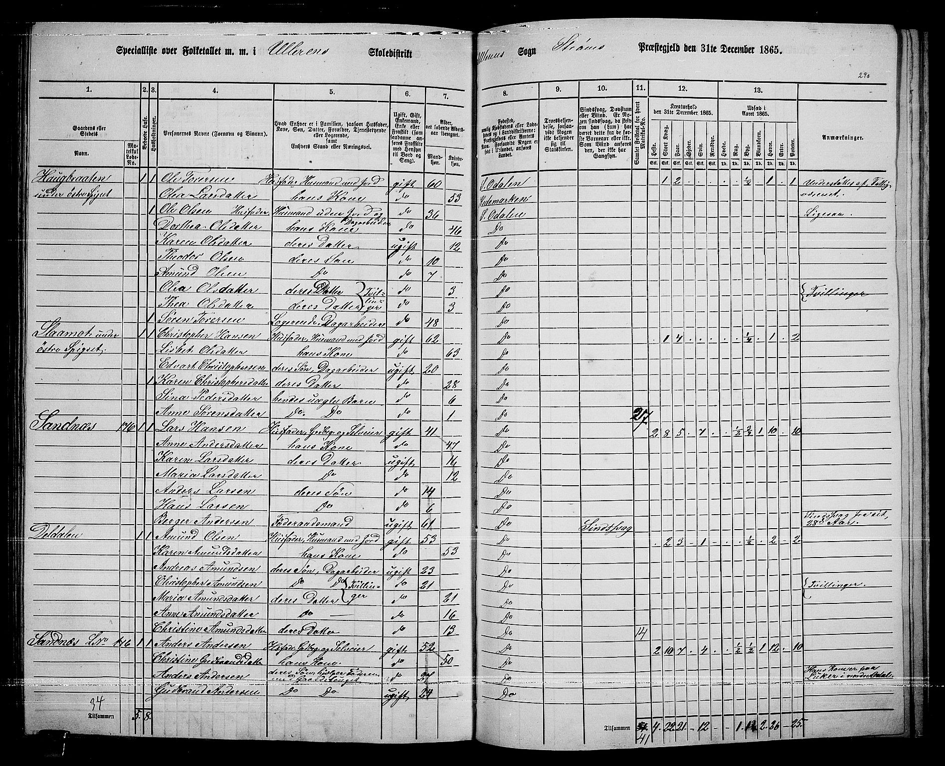 RA, 1865 census for Sør-Odal, 1865, p. 254