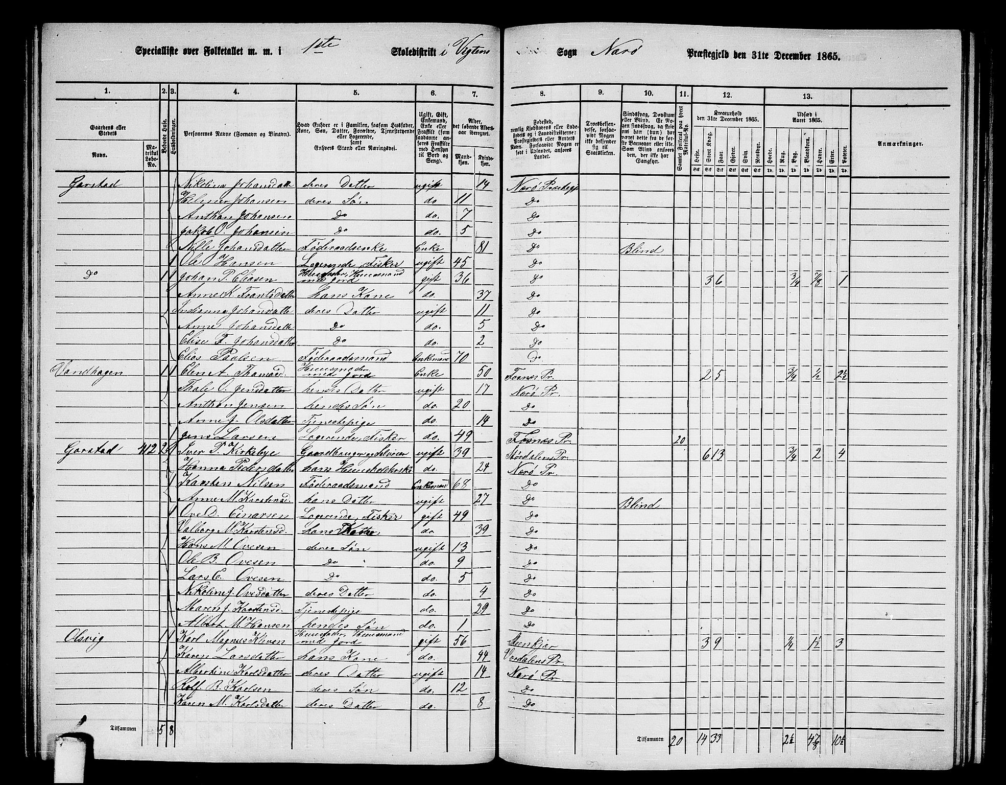 RA, 1865 census for Nærøy, 1865, p. 97