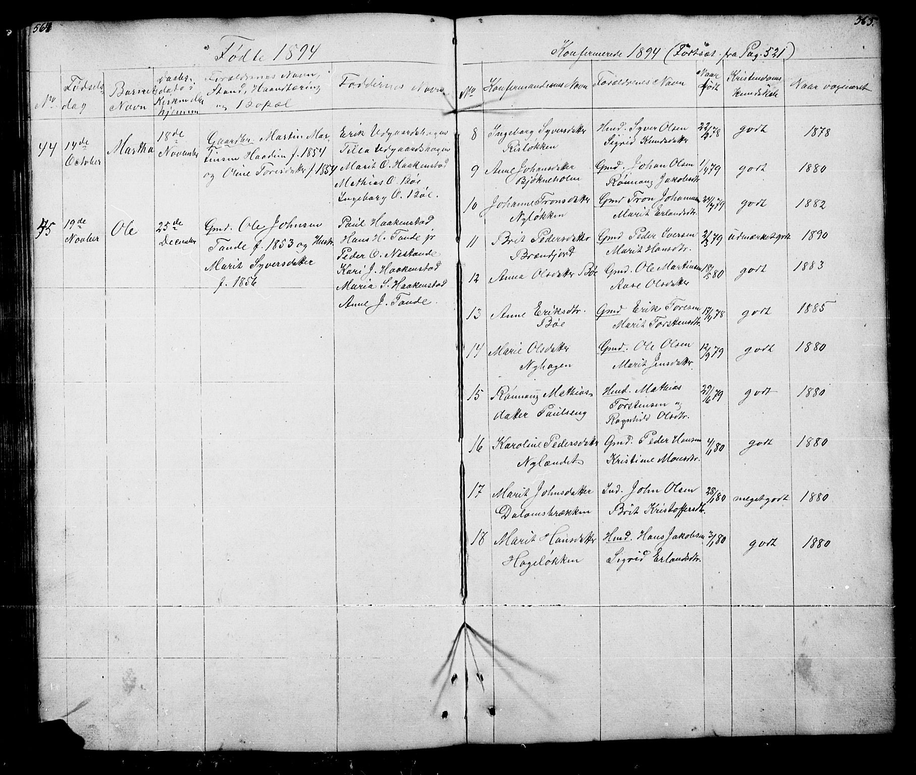 Lesja prestekontor, AV/SAH-PREST-068/H/Ha/Hab/L0005: Parish register (copy) no. 5, 1850-1894, p. 564-565