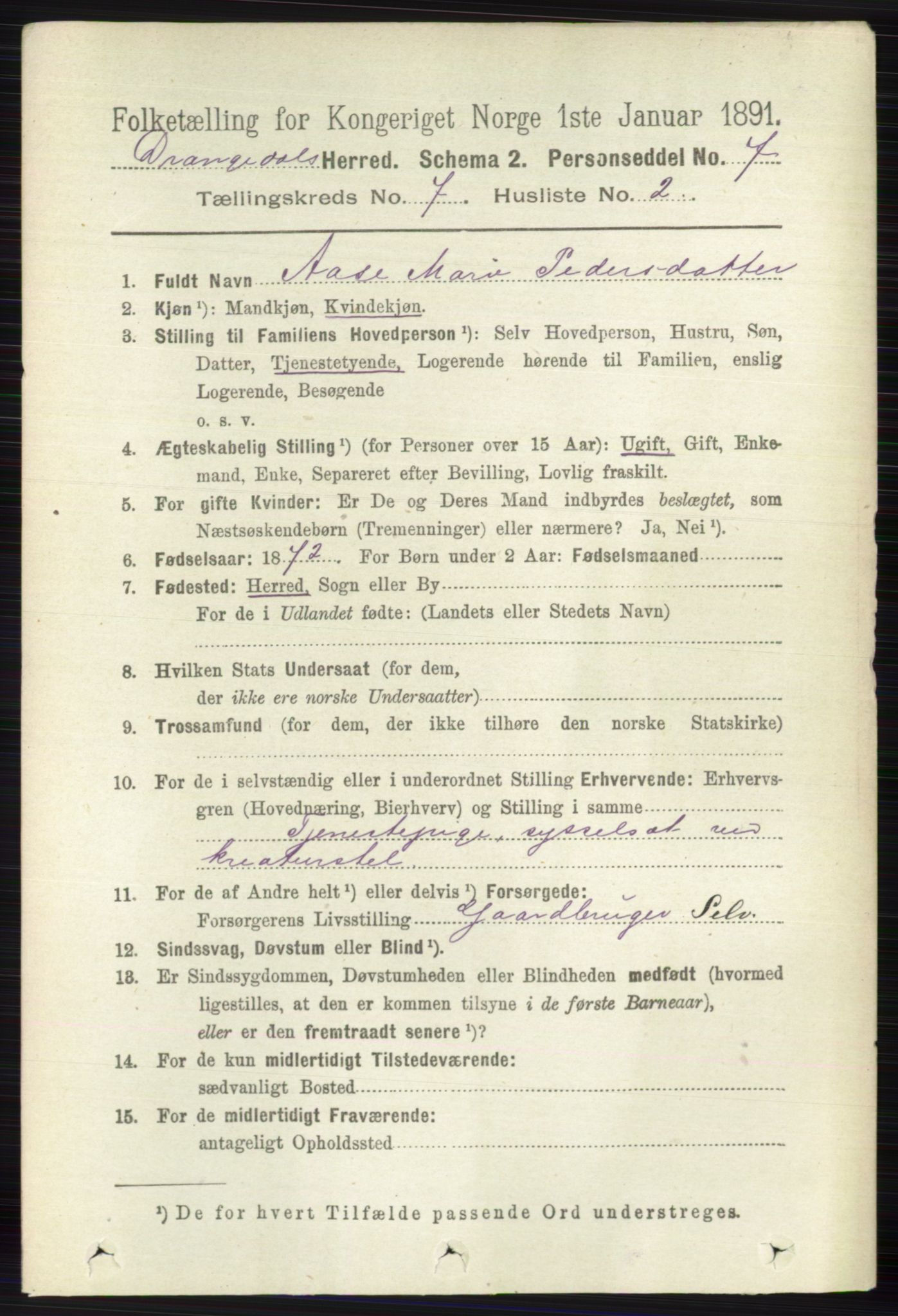 RA, 1891 census for 0817 Drangedal, 1891, p. 2413