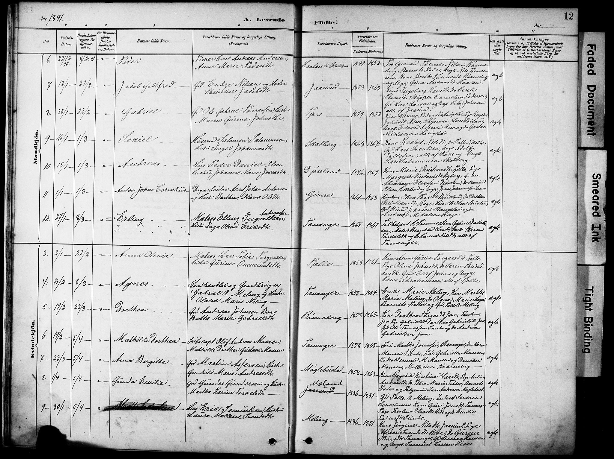 Håland sokneprestkontor, AV/SAST-A-101802/001/30BA/L0012: Parish register (official) no. A 11, 1889-1900, p. 12