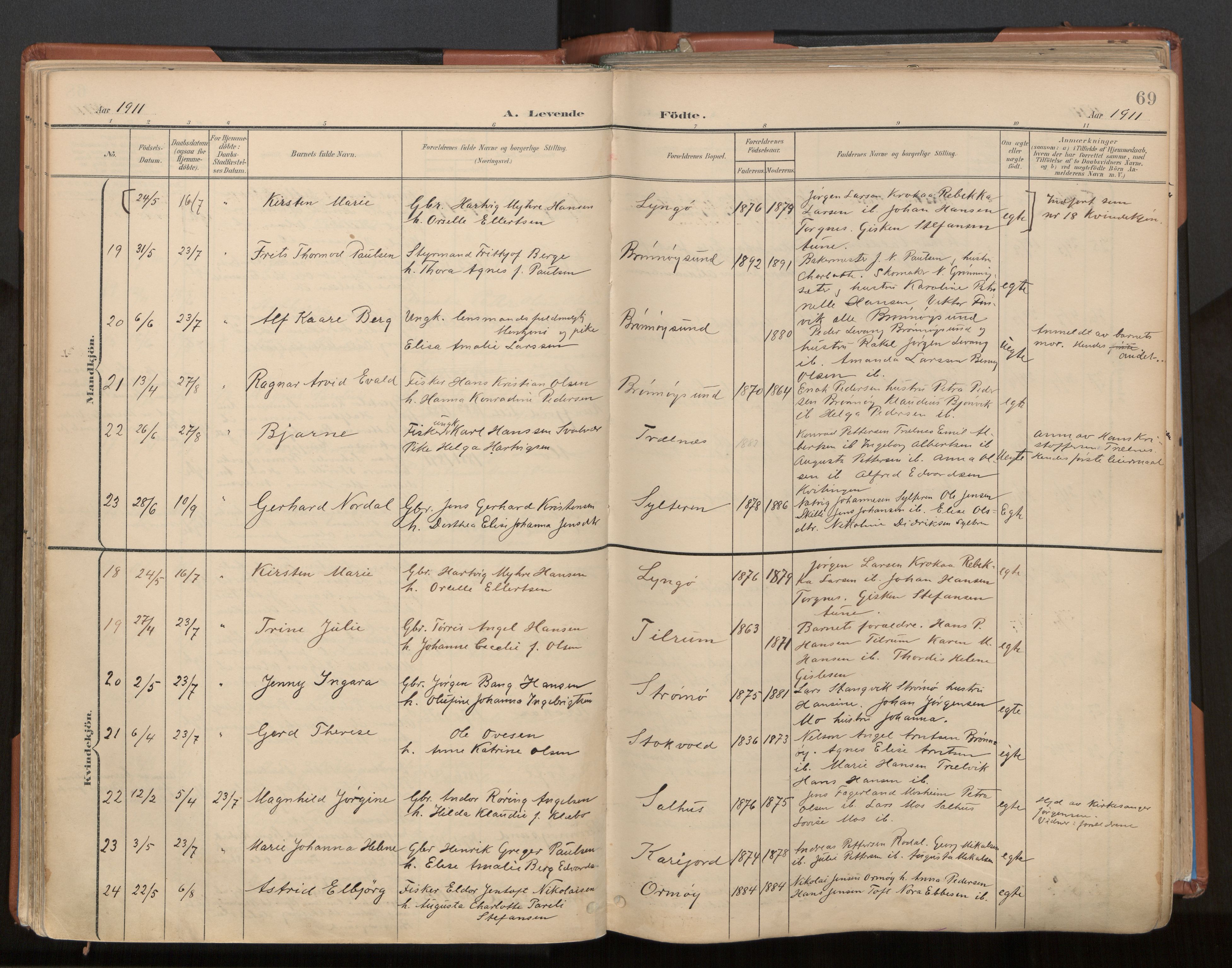 Ministerialprotokoller, klokkerbøker og fødselsregistre - Nordland, SAT/A-1459/813/L0201: Parish register (official) no. 813A11, 1901-1918, p. 69