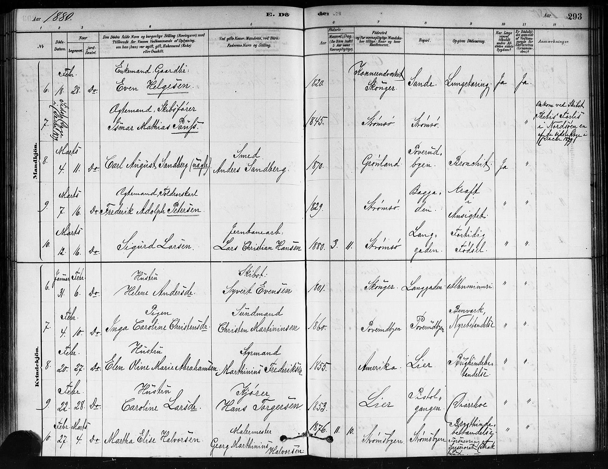 Strømsø kirkebøker, AV/SAKO-A-246/F/Fa/L0021: Parish register (official) no. I 21, 1878-1885, p. 293