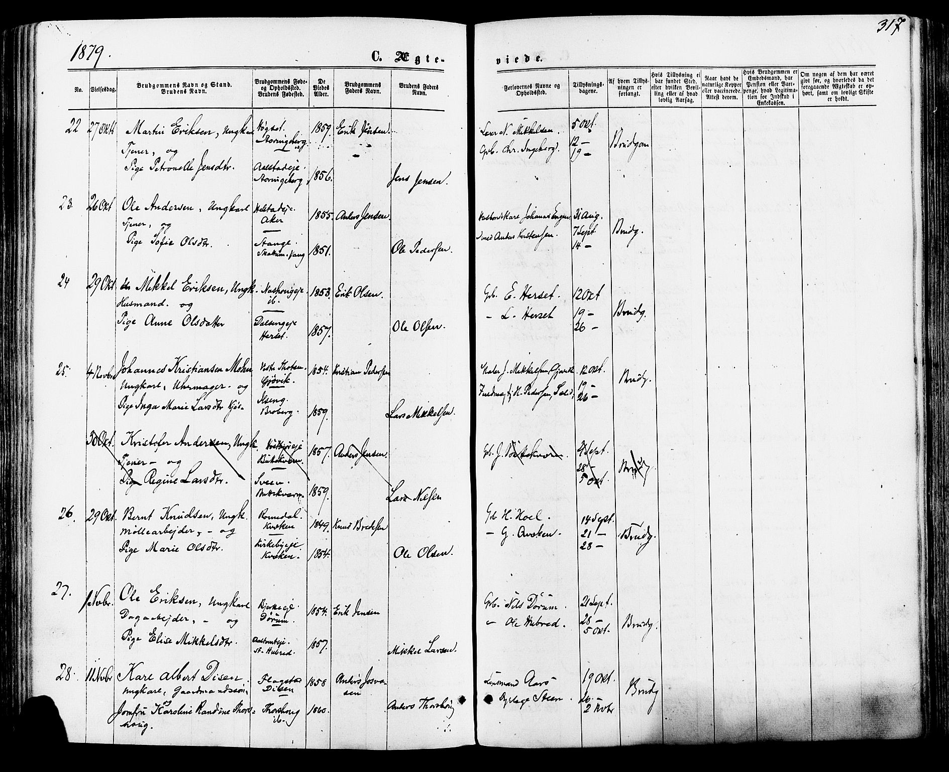 Vang prestekontor, Hedmark, AV/SAH-PREST-008/H/Ha/Haa/L0015: Parish register (official) no. 15, 1871-1885, p. 317