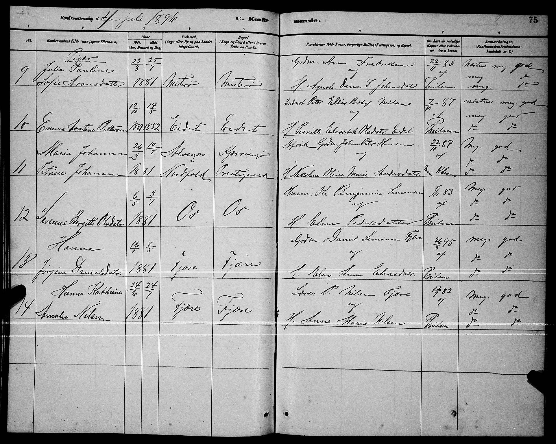 Ministerialprotokoller, klokkerbøker og fødselsregistre - Nordland, SAT/A-1459/803/L0076: Parish register (copy) no. 803C03, 1882-1897, p. 75