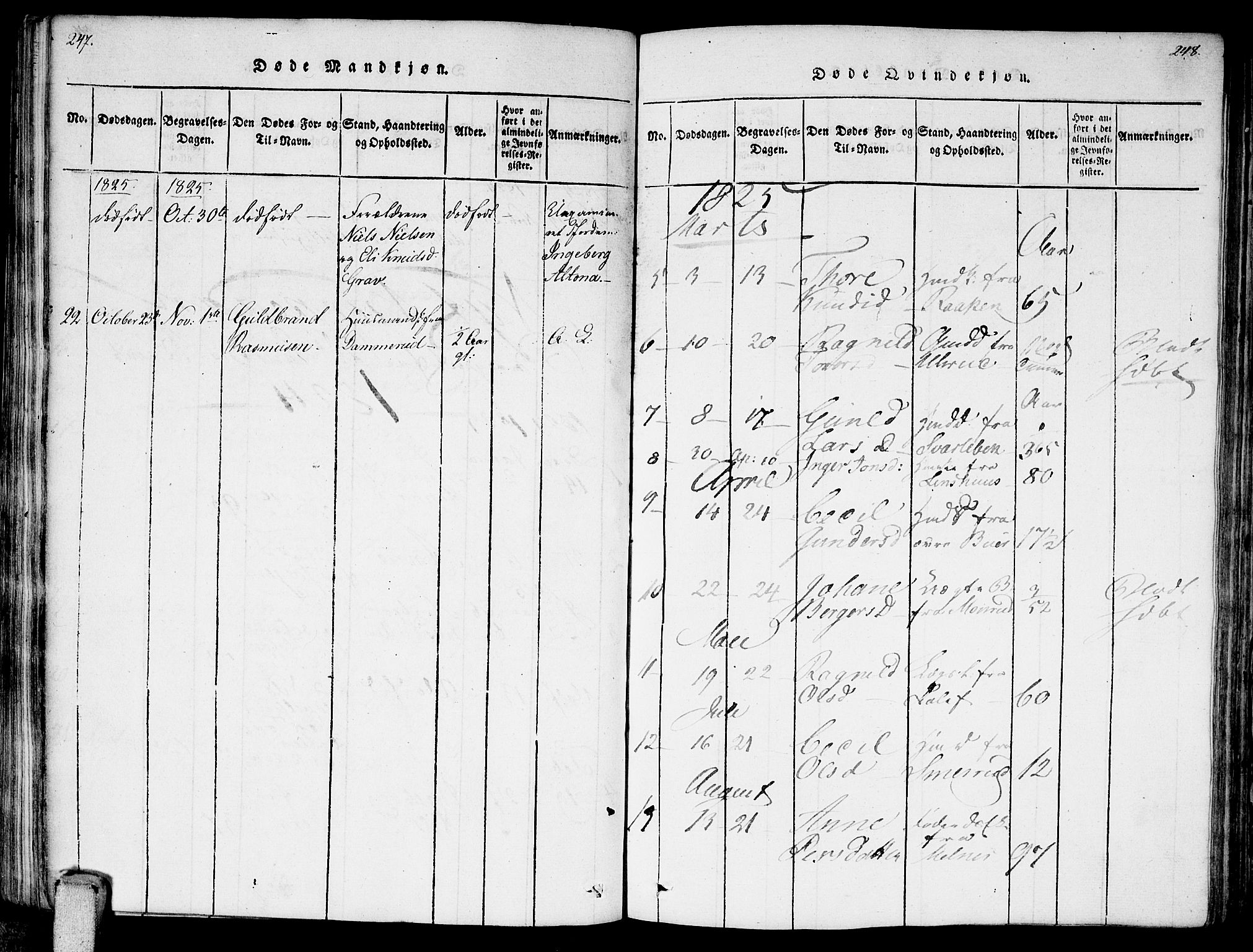 Enebakk prestekontor Kirkebøker, AV/SAO-A-10171c/F/Fa/L0006: Parish register (official) no. I 6, 1815-1832, p. 247-248