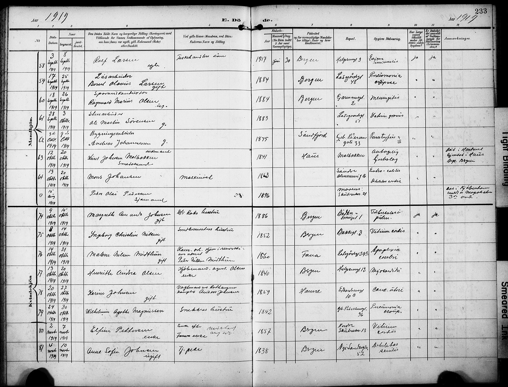 Sandviken Sokneprestembete, AV/SAB-A-77601/H/Hb/L0017: Parish register (copy) no. E 1, 1903-1926, p. 233