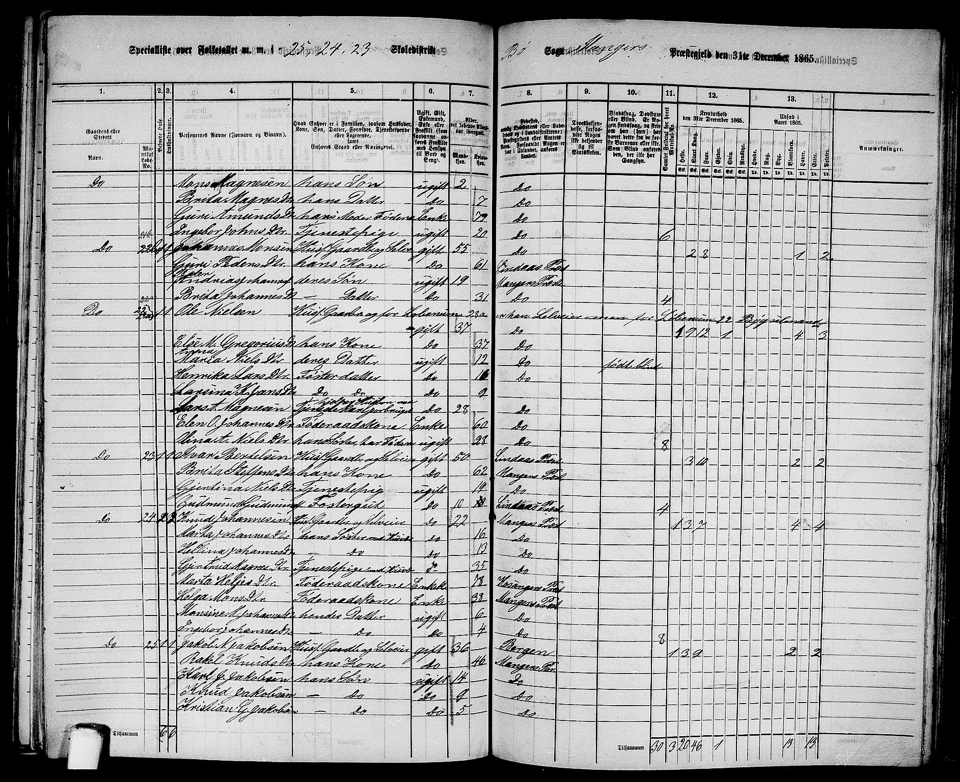 RA, 1865 census for Manger, 1865, p. 253