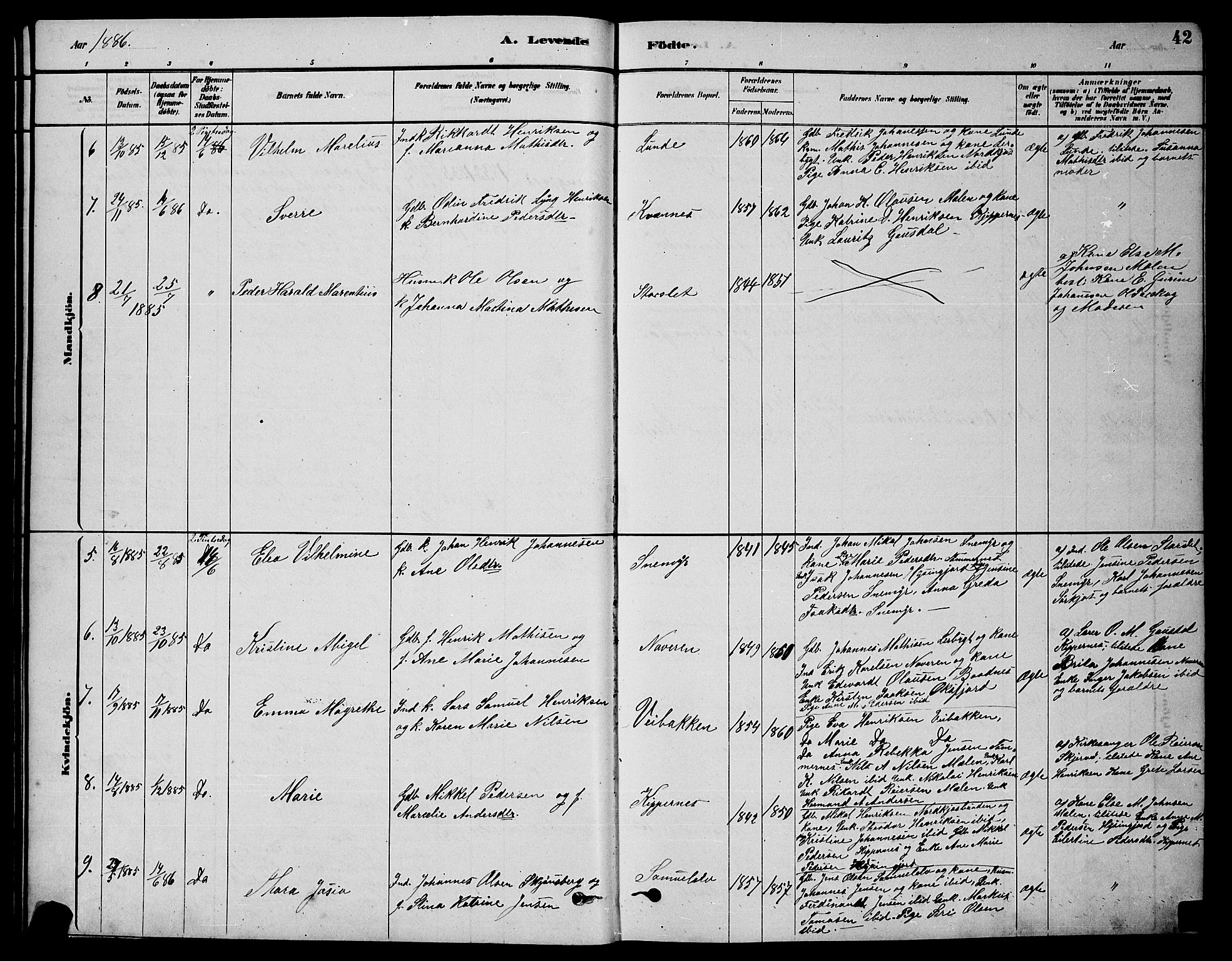 Skjervøy sokneprestkontor, AV/SATØ-S-1300/H/Ha/Hab/L0020klokker: Parish register (copy) no. 20, 1878-1892, p. 42