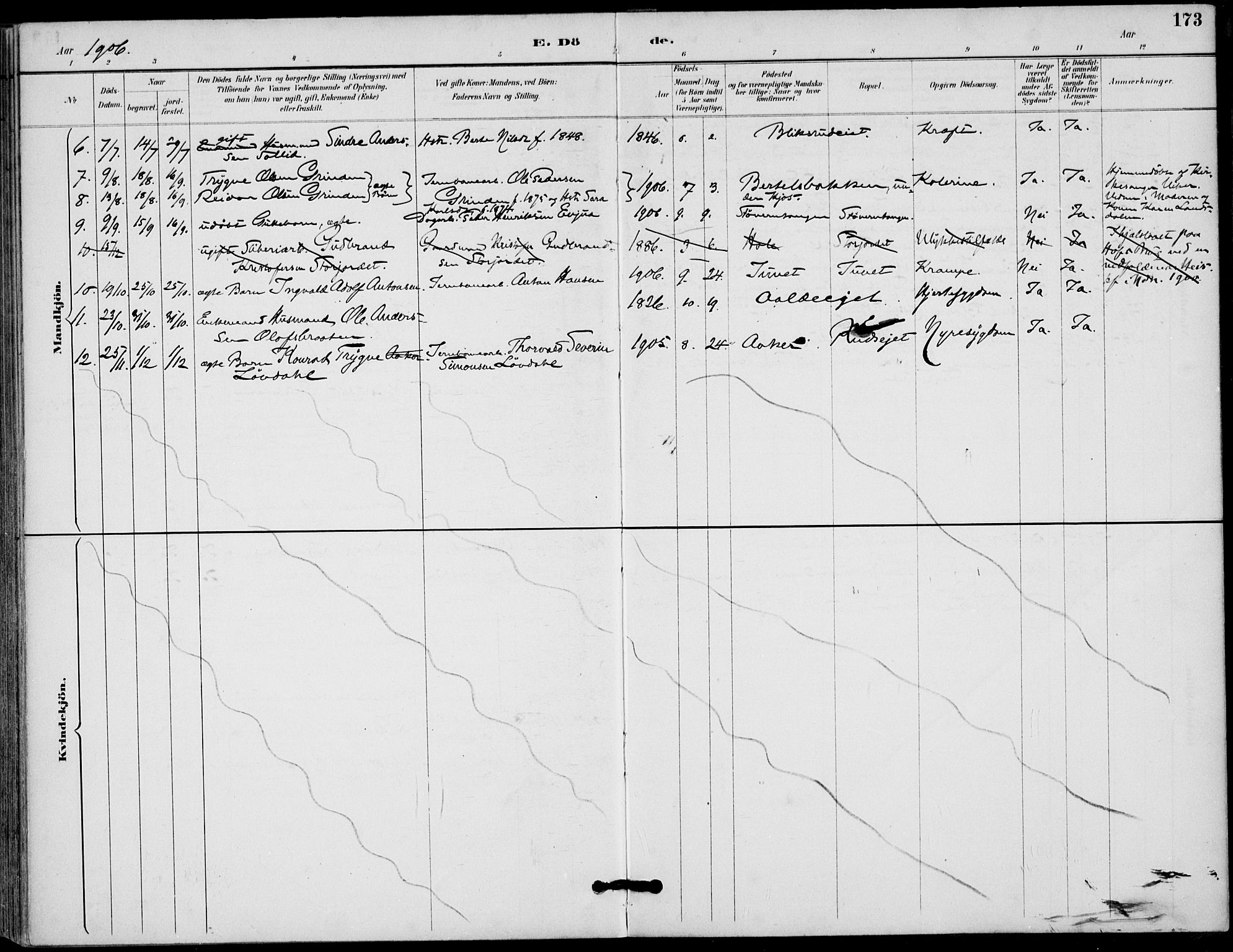 Lunder kirkebøker, SAKO/A-629/F/Fa/L0001: Parish register (official) no. I 1, 1885-1912, p. 173